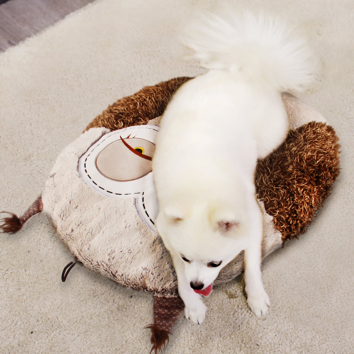 Caninie เบาะรองนอนทรงกลม ขอบนุ่ม Gigwi