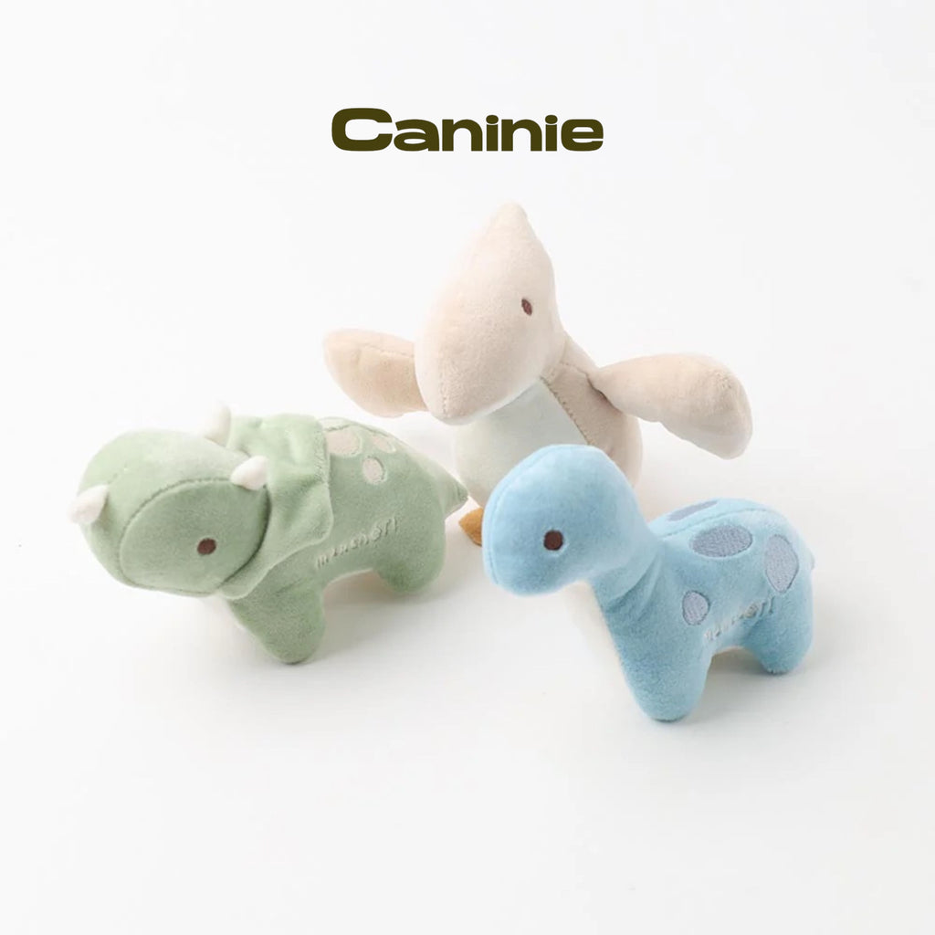 Caninie-Monchéri Dinosaur Friends Toy Set