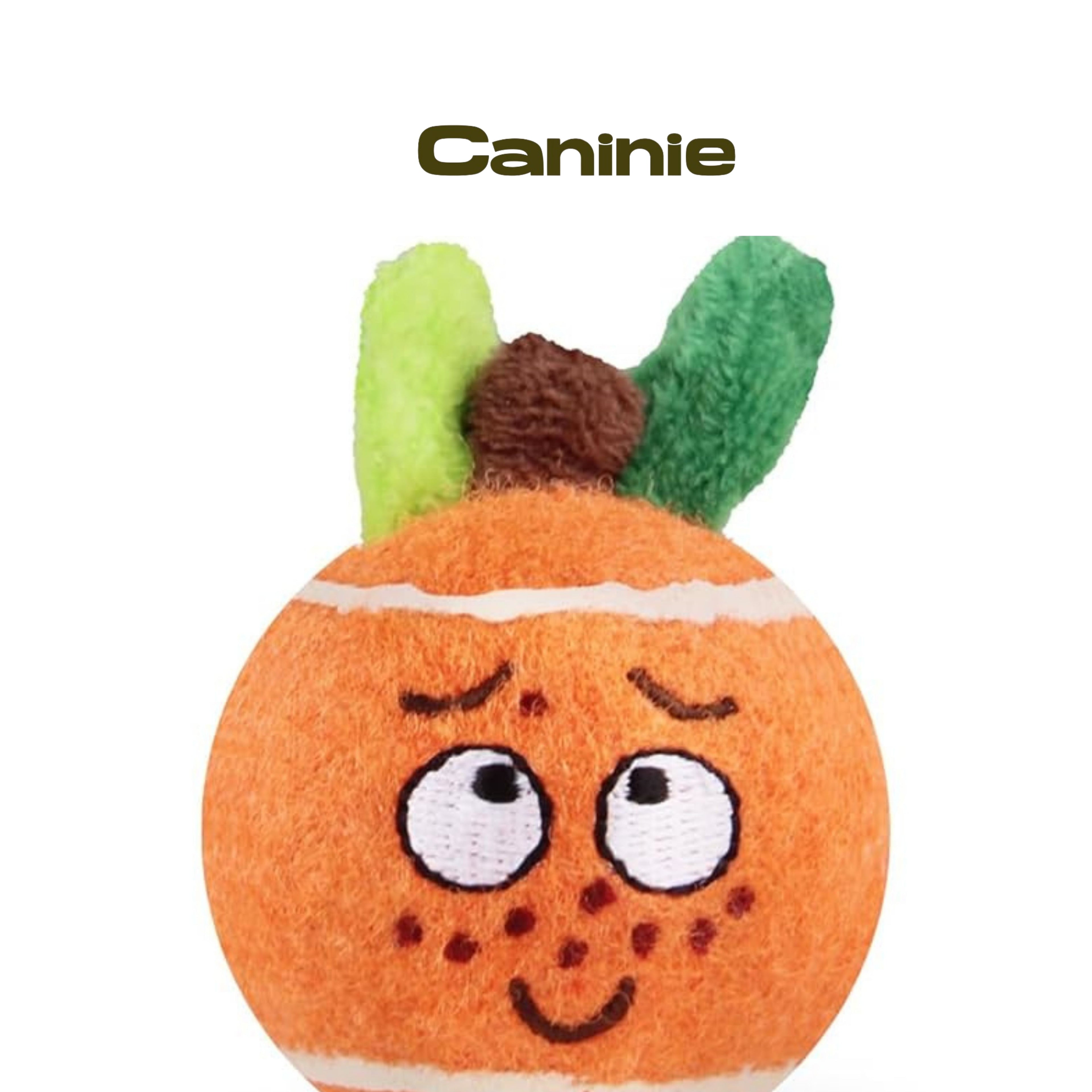 Caninie Ball Originals ของเล่นลูกบอลสำหรับสุนัข GiGwi Ball Originals ของเล่นลูกบอลสำหรับสุนัข