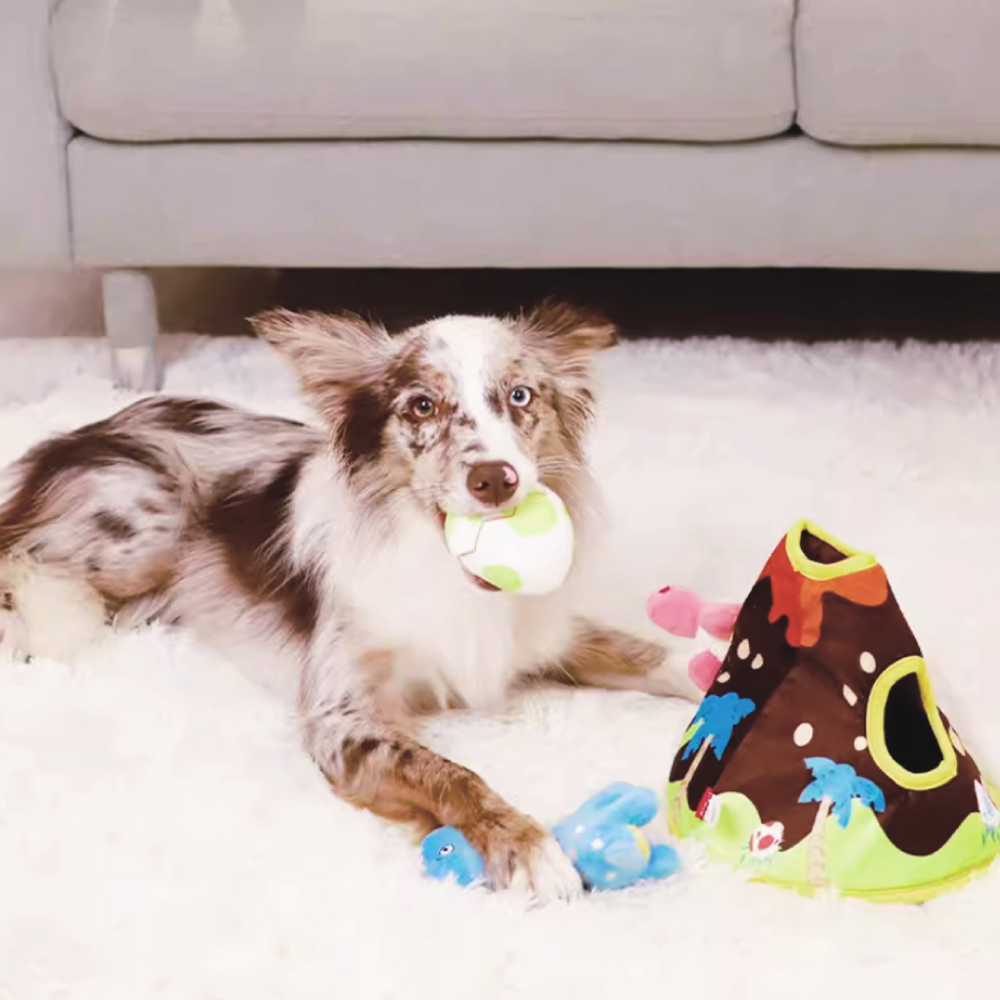 Caninie ของเล่นหมาแบบซ่อนหา เสริมพัฒนาการ Gigwi
