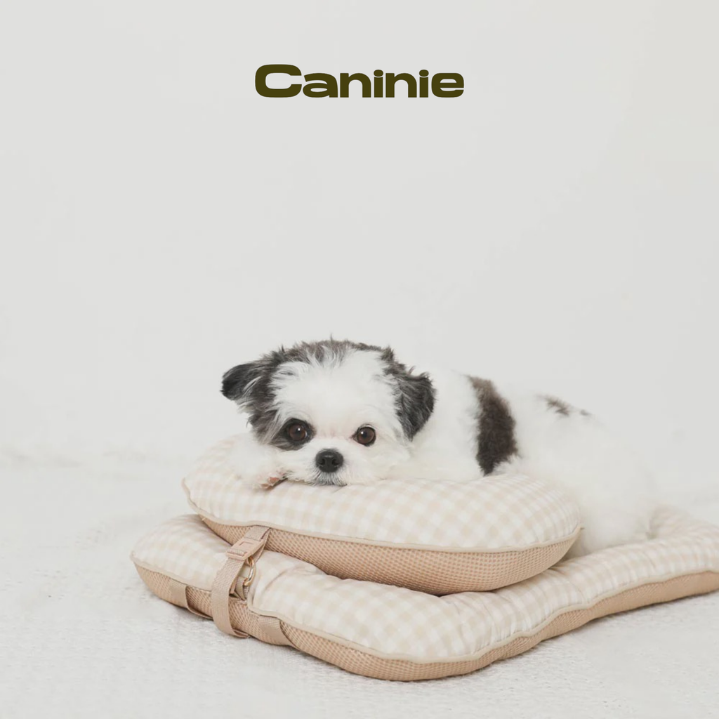 Caninie-Monchéri  หมอนเบาะนอนสัตว์เลี้ยงนุ่มพิเศษ (Pet Cushion Pillow)