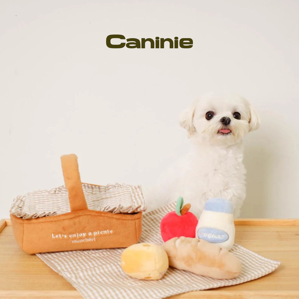 Caninie-Monchéri ชุดของเล่นปิกนิกเด็ก Picnic Set Toys ชุดปิกนิกจำลอง ของเล่นเสริมพัฒนาการ พร้อมตะกร้าและอุปกรณ์อาหาร