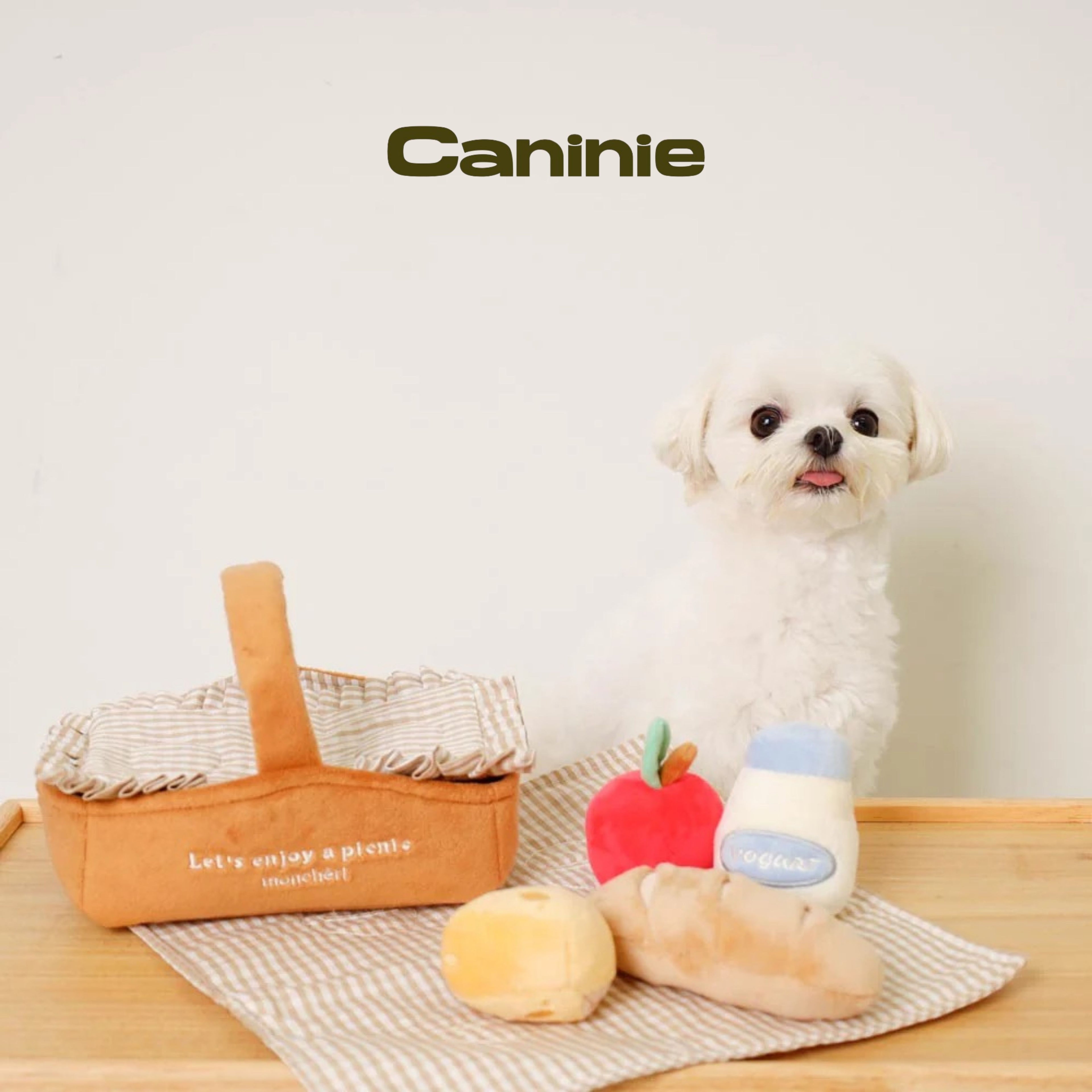 Caninie-Monchéri ชุดของเล่นปิกนิกเด็ก Picnic Set Toys ชุดปิกนิกจำลอง ของเล่นเสริมพัฒนาการ พร้อมตะกร้าและอุปกรณ์อาหาร