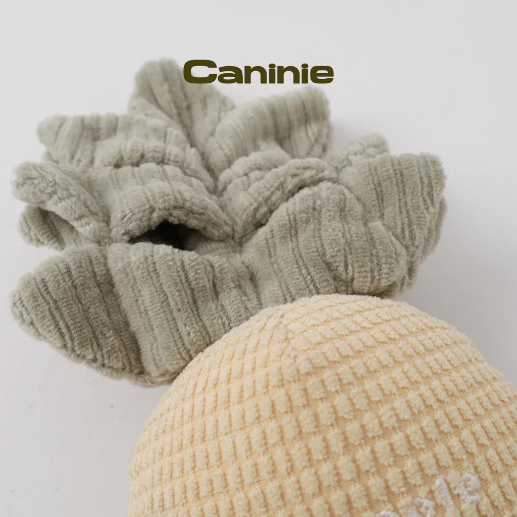 Caninie- Monchéri Pineapple Nose Work Toy ของเล่นสุนัขสับปะรดซ่อนขนม ของเล่นฝึกดมกลิ่นสุนัข