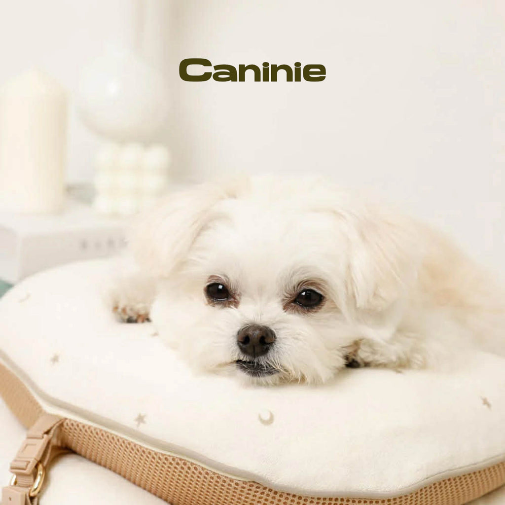 Caninie-Monchéri Pet Cart Cushion Pillow หมอนรองรถเข็นสัตว์เลี้ยงลายดาวพระจันทร์