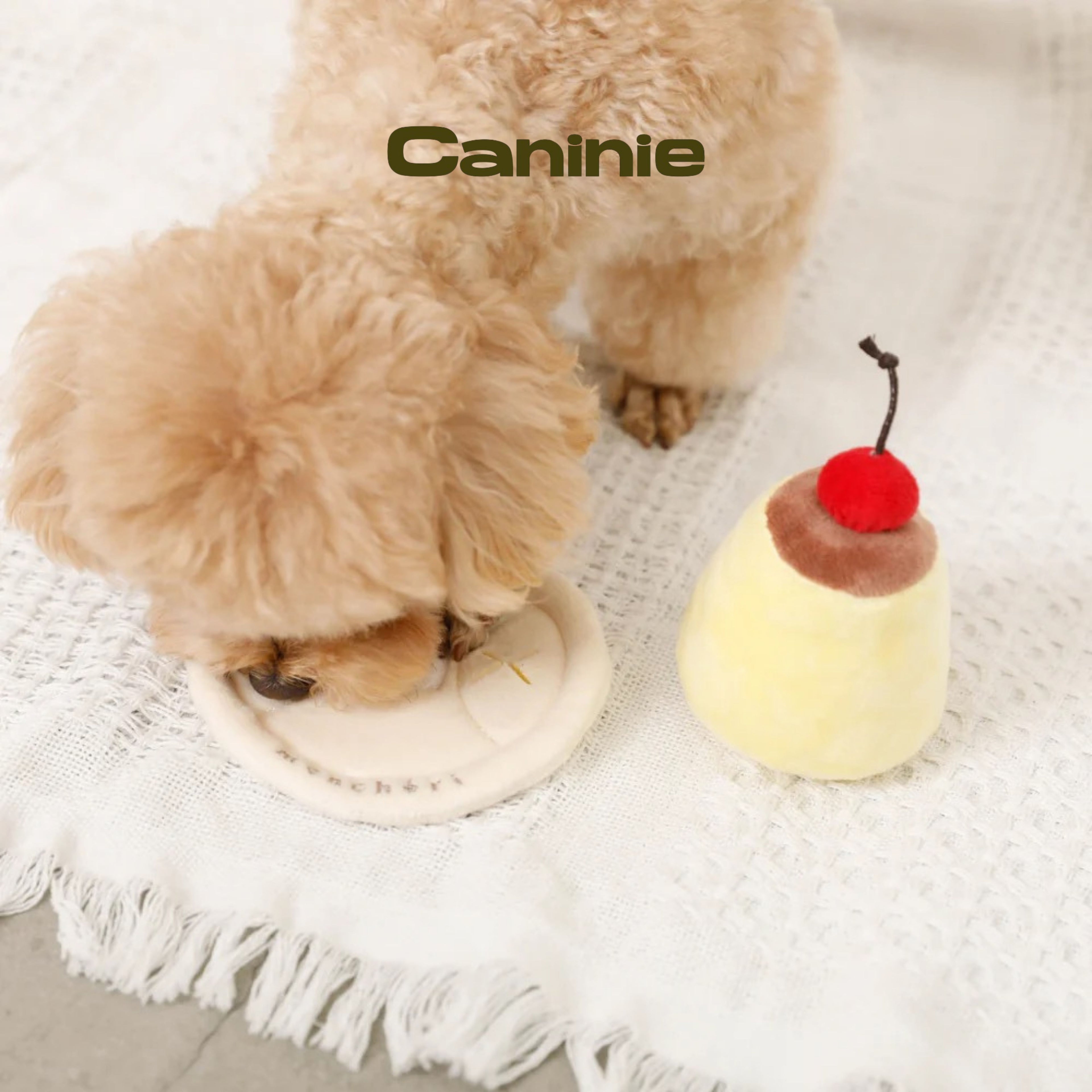 Caninie-Monchéri Nose Work Pudding Toy ของเล่นสุนัขพุดดิ้งซ่อนขนม ของเล่นฝึกดมกลิ่นสุนัข
