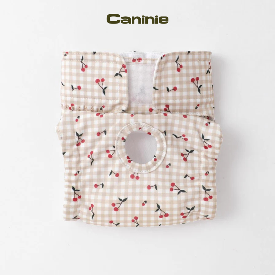 Gingham Check Cherry Print Dog Sanitary Pants - monchéri