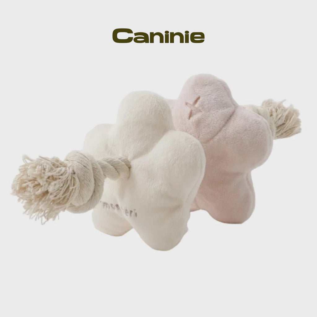 Caninie-Monchéri Flower Nose Work Rope Toy ของเล่นสุนัขดอกไม้ซ่อนขนม เชือกของเล่นสุนัข ฝึกดมกลิ่น