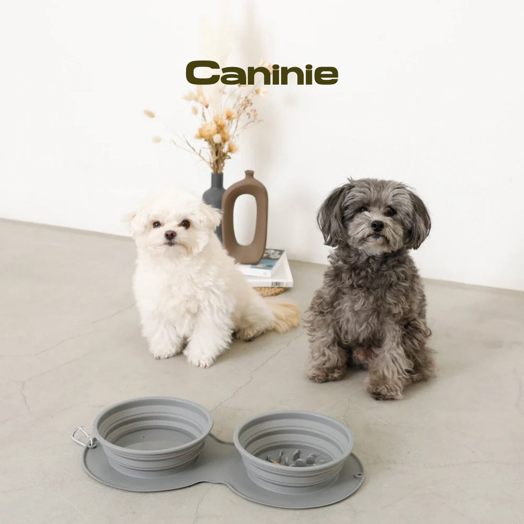 Canine-Monchéri  Silicon Compact Double Food Bowlชามอาหารสัตว์เลี้ยงซิลิโคนแบบคู่ พับได้