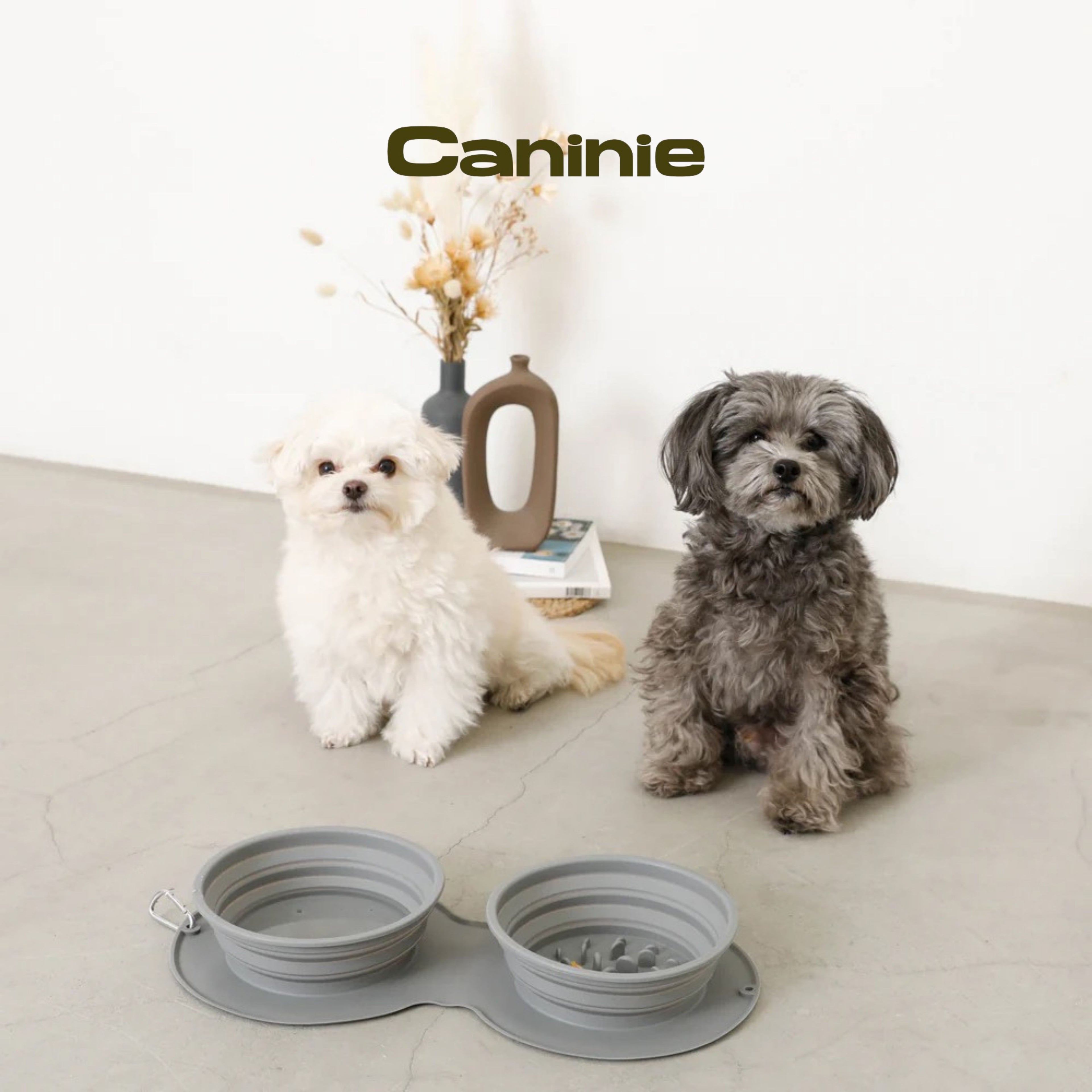 Canine-Monchéri  Silicon Compact Double Food Bowlชามอาหารสัตว์เลี้ยงซิลิโคนแบบคู่ พับได้