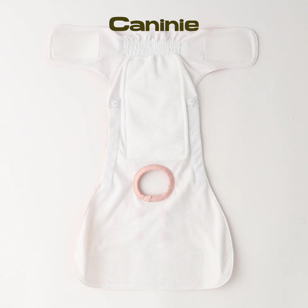Caninie-monchéri กางเกงอนามัยสุนัข ลายสตรอว์เบอร์รี่ตาราง