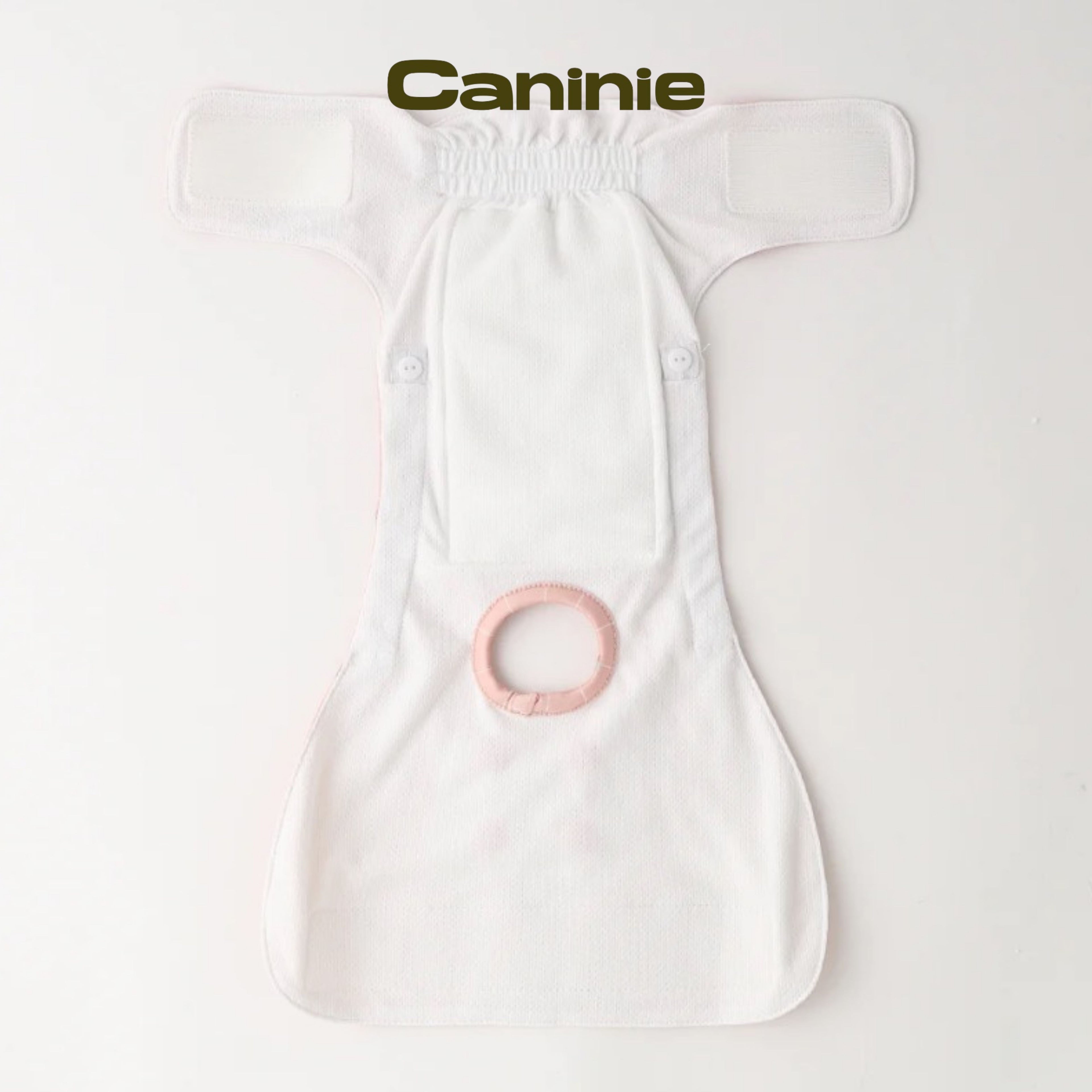 Caninie-monchéri กางเกงอนามัยสุนัข ลายสตรอว์เบอร์รี่ตาราง