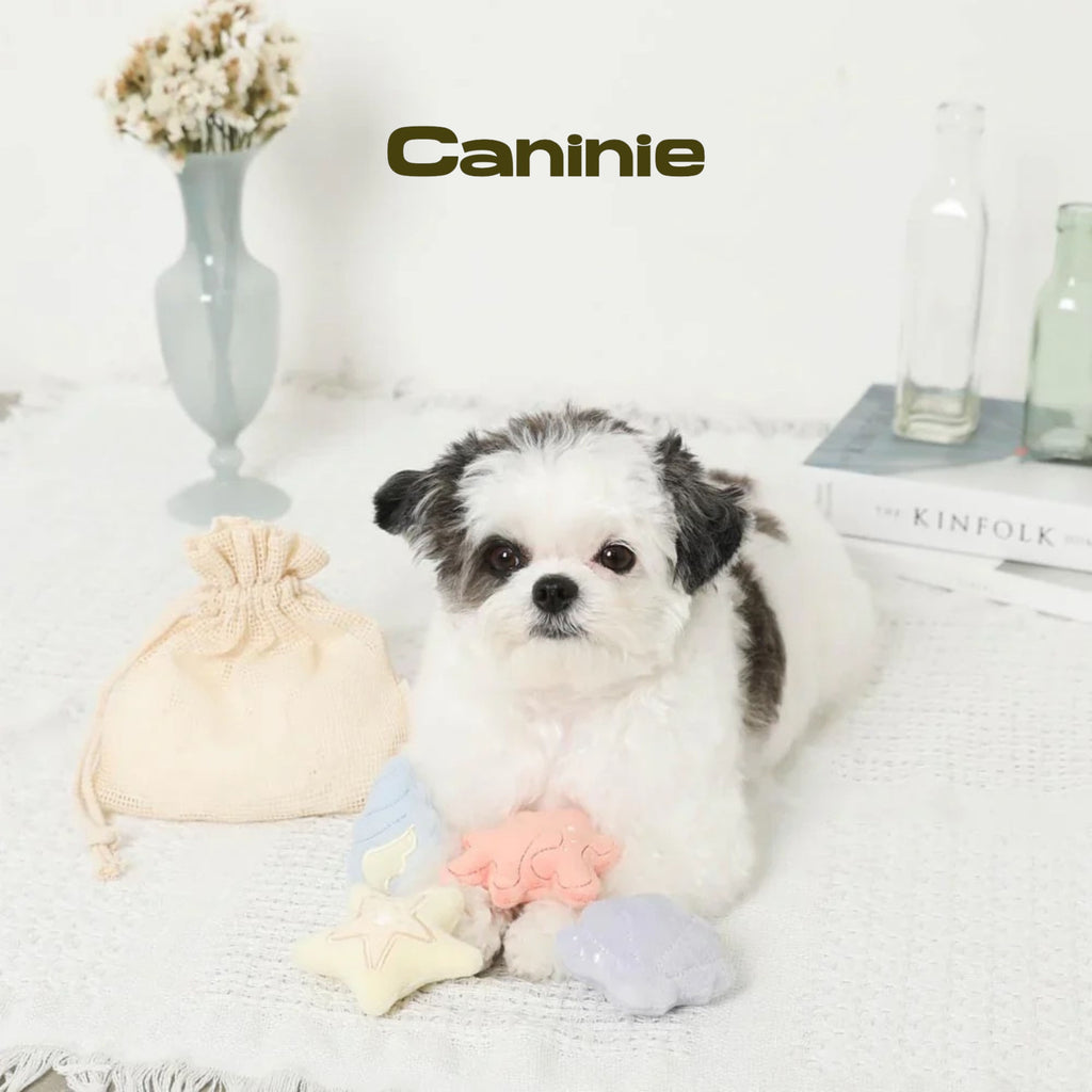 Caninie-Monchéri Friends of Shells Nose Work Toy Set ของเล่นสุนัขซ่อนขนม เซตหอยทะเล พร้อมถุงผ้ารูด ของเล่นฝึกดมกลิ่นสุนัข