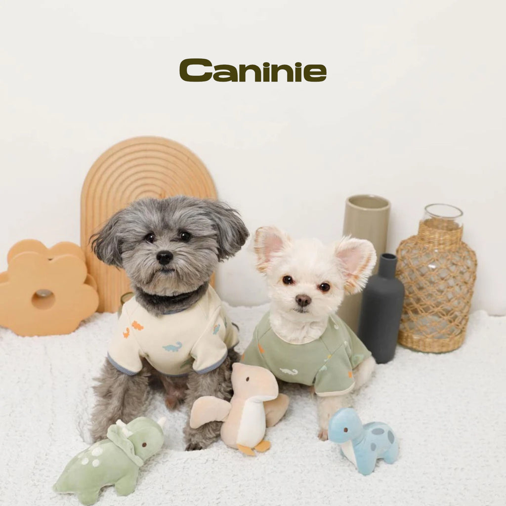 Caninie-Monchéri Dinosaur Friends Toy Set