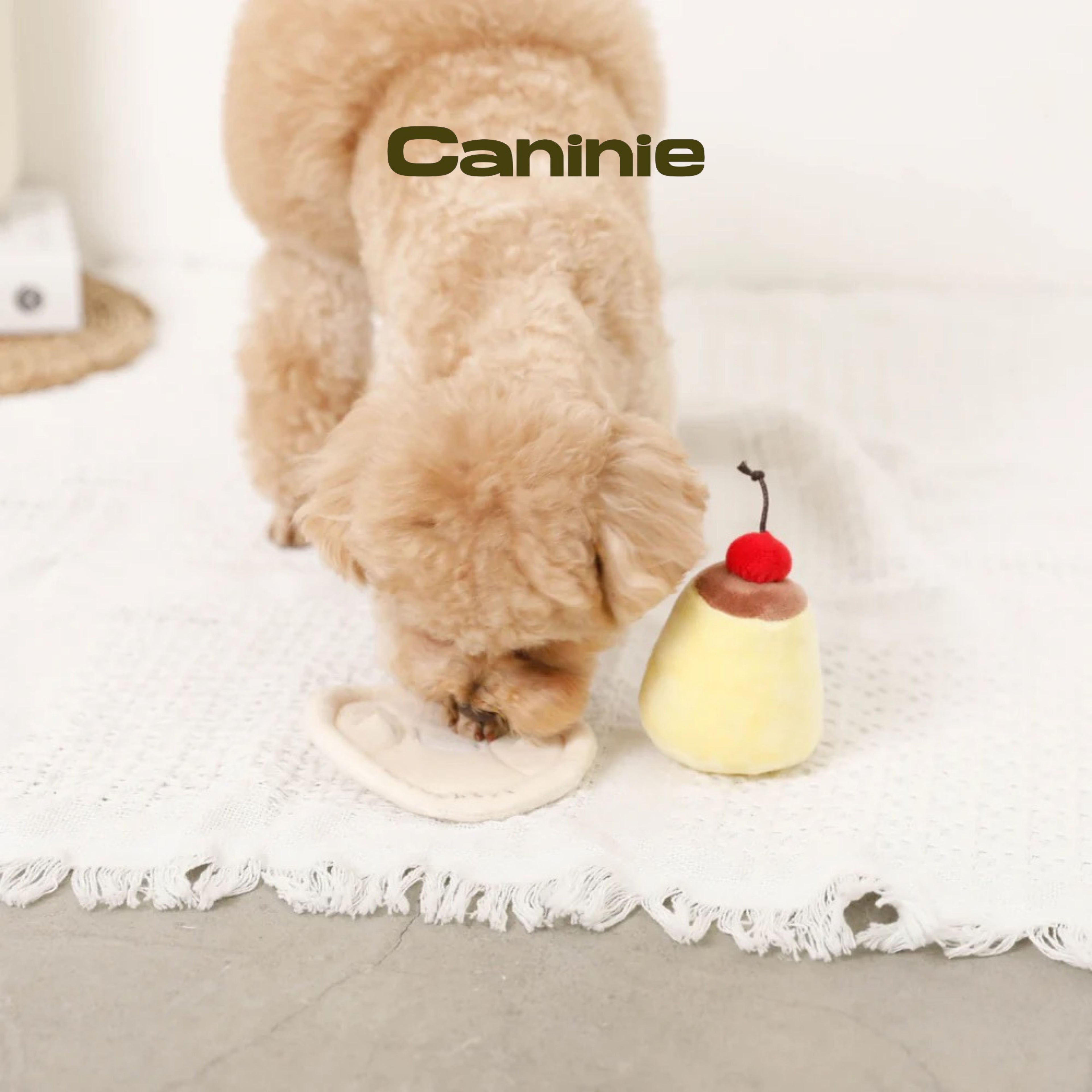 Caninie-Monchéri Nose Work Pudding Toy ของเล่นสุนัขพุดดิ้งซ่อนขนม ของเล่นฝึกดมกลิ่นสุนัข