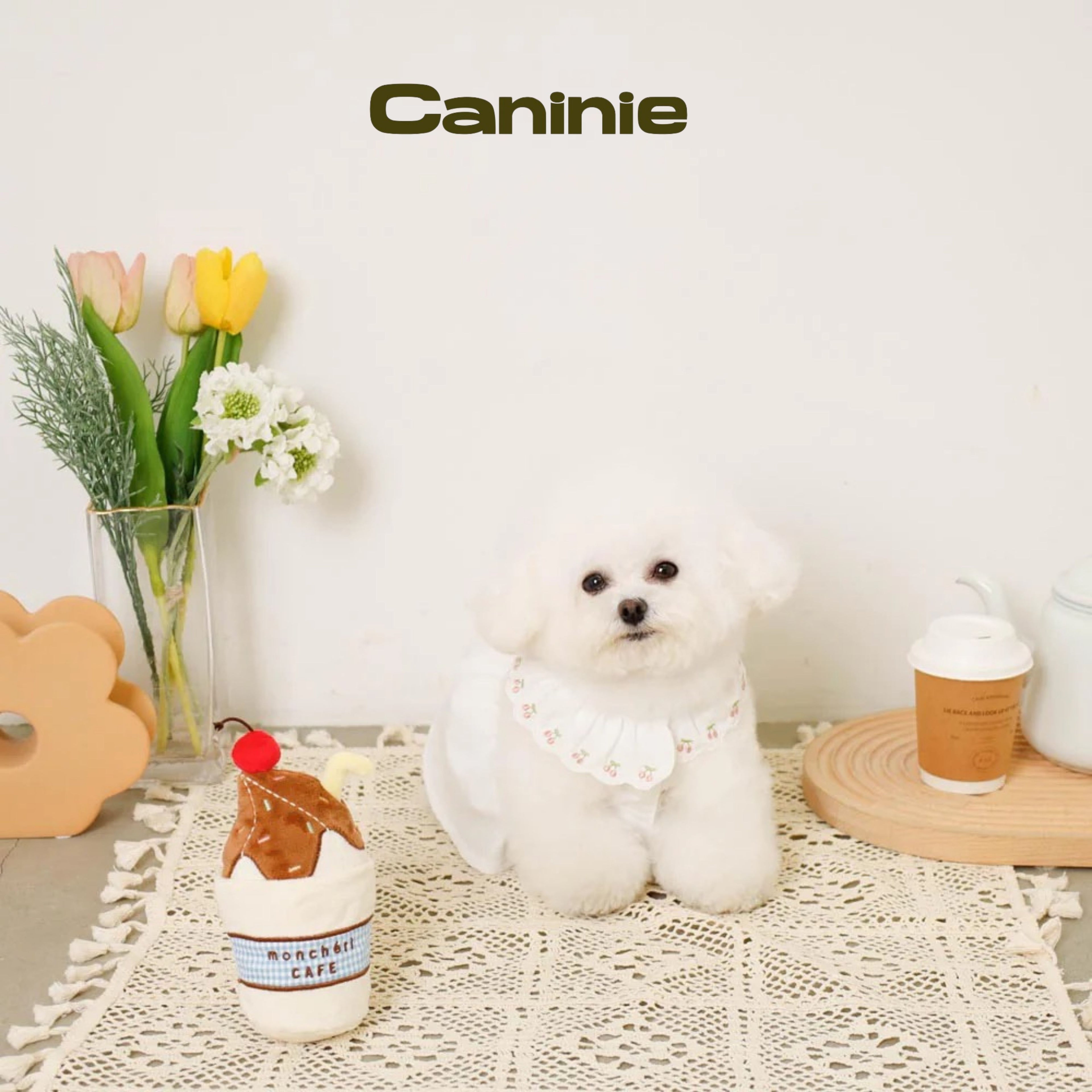 Caninie-Monchéri Chocolate Whipped Drink Toy  (ของเล่นสุนัขรูปแก้วช็อกโกแลตวิปครีม)