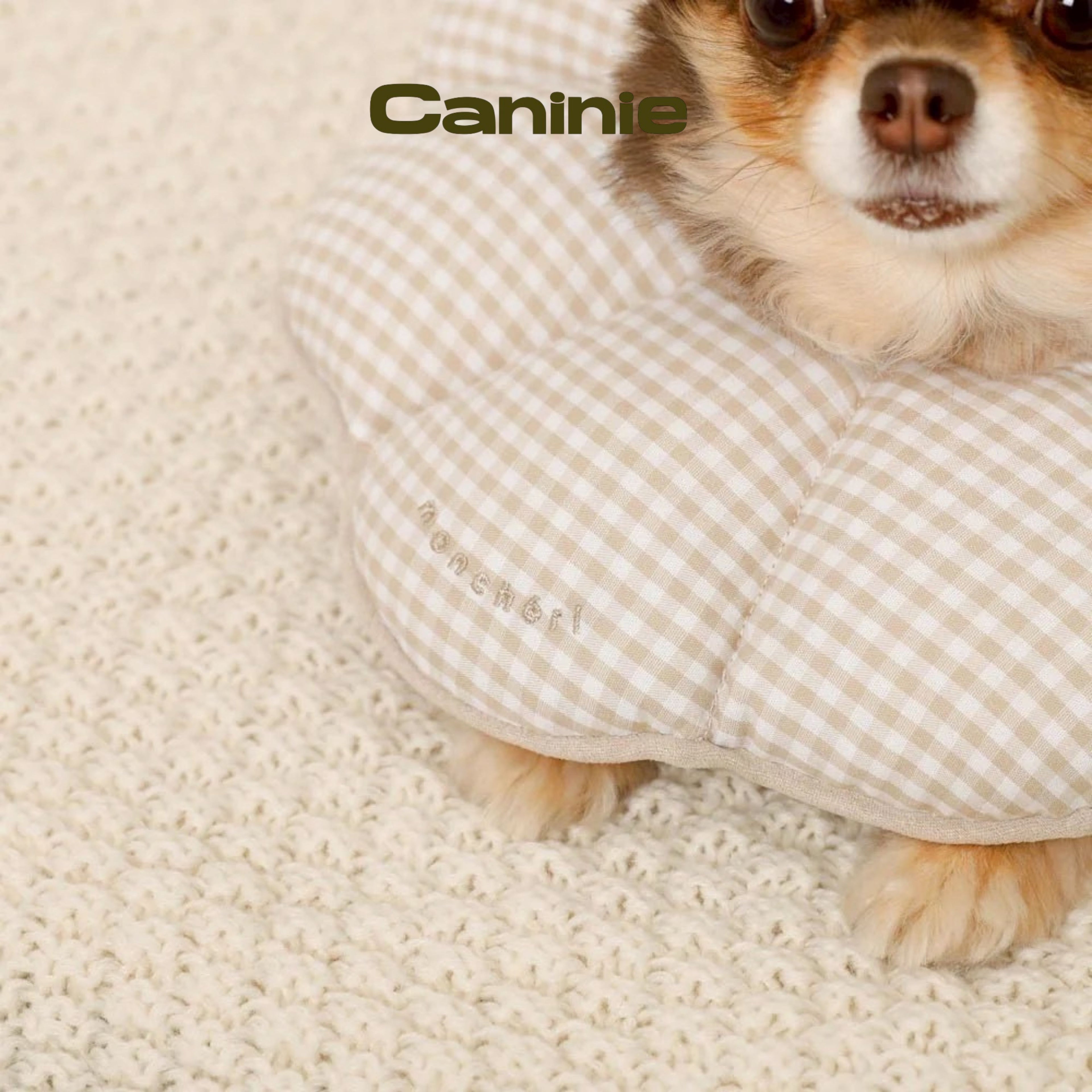 Canine-Monchéri Gingham Check Flower Elizabeth Collar