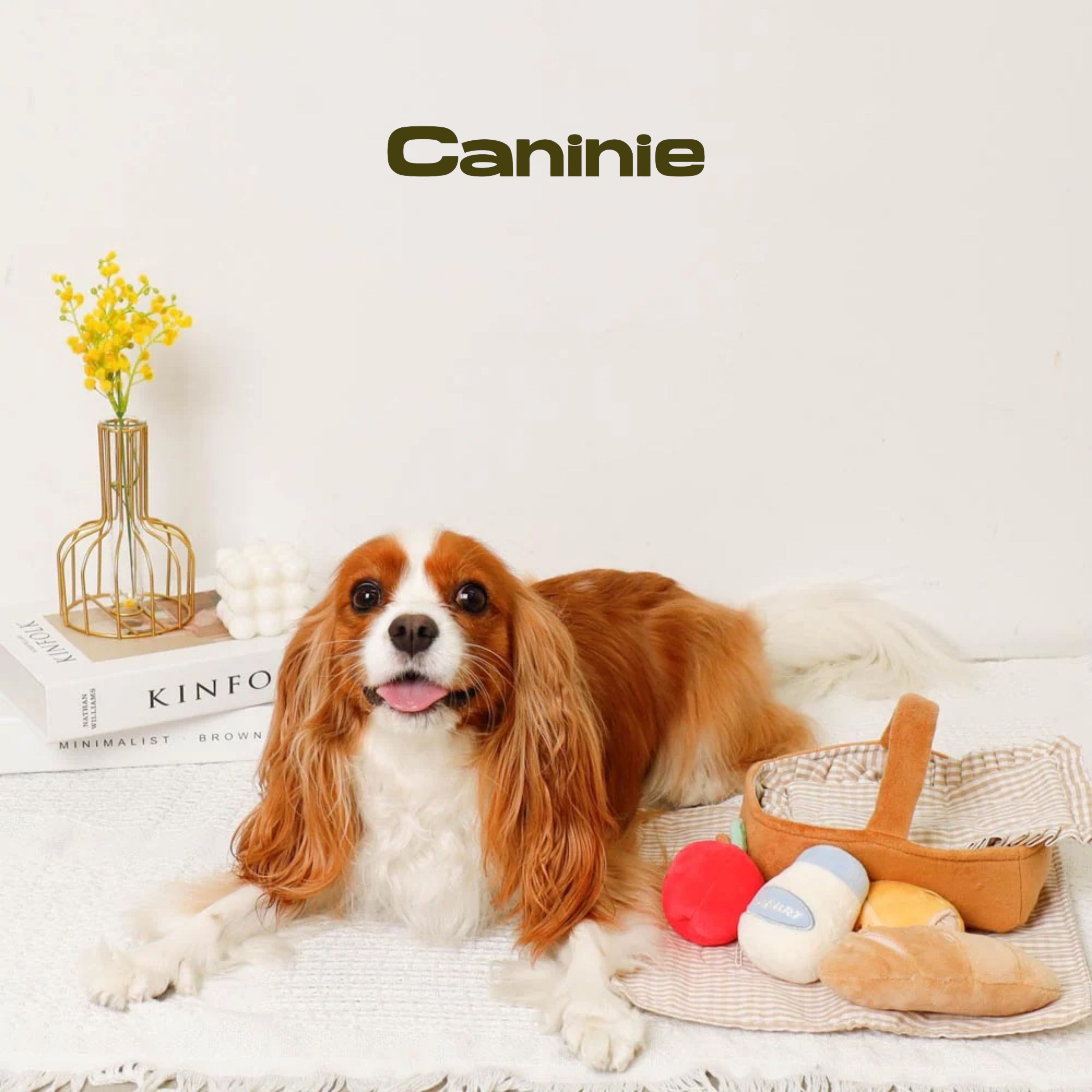 Caninie-Monchéri ชุดของเล่นปิกนิกเด็ก Picnic Set Toys ชุดปิกนิกจำลอง ของเล่นเสริมพัฒนาการ พร้อมตะกร้าและอุปกรณ์อาหาร