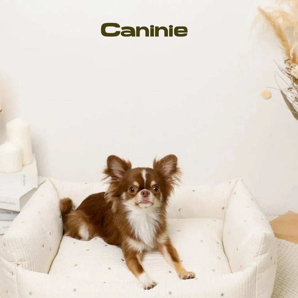 Canine-Monchéri Stars and Moon Pattern Pile Pet Cart Cushion Mat เบาะรองรถเข็นสัตว์เลี้ยง ลายดาวพระจันทร์ ผ้าพายล์นุ่ม สำหรับสุนัขและแมว