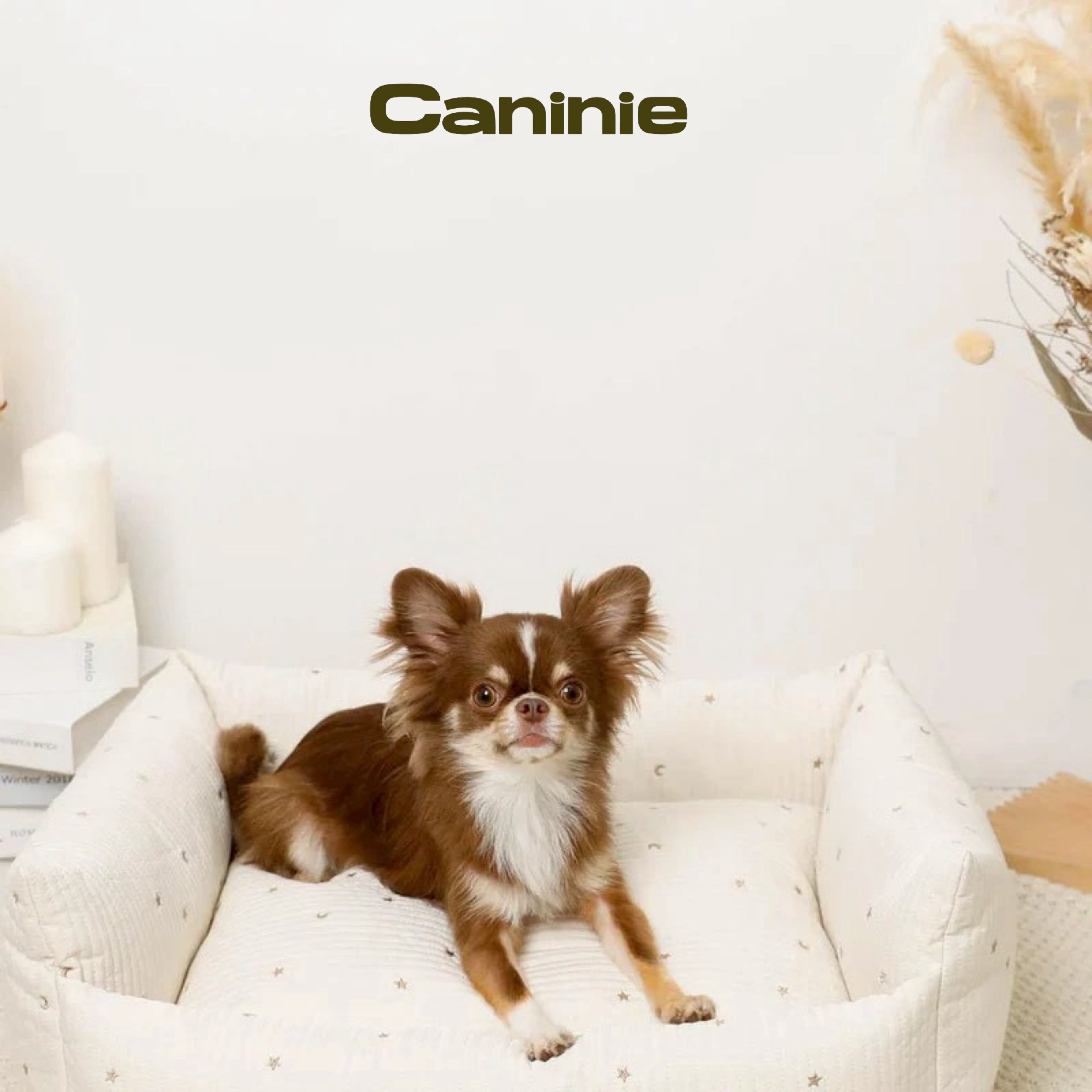 Canine-Monchéri Stars and Moon Pattern Pile Pet Cart Cushion Mat เบาะรองรถเข็นสัตว์เลี้ยง ลายดาวพระจันทร์ ผ้าพายล์นุ่ม สำหรับสุนัขและแมว