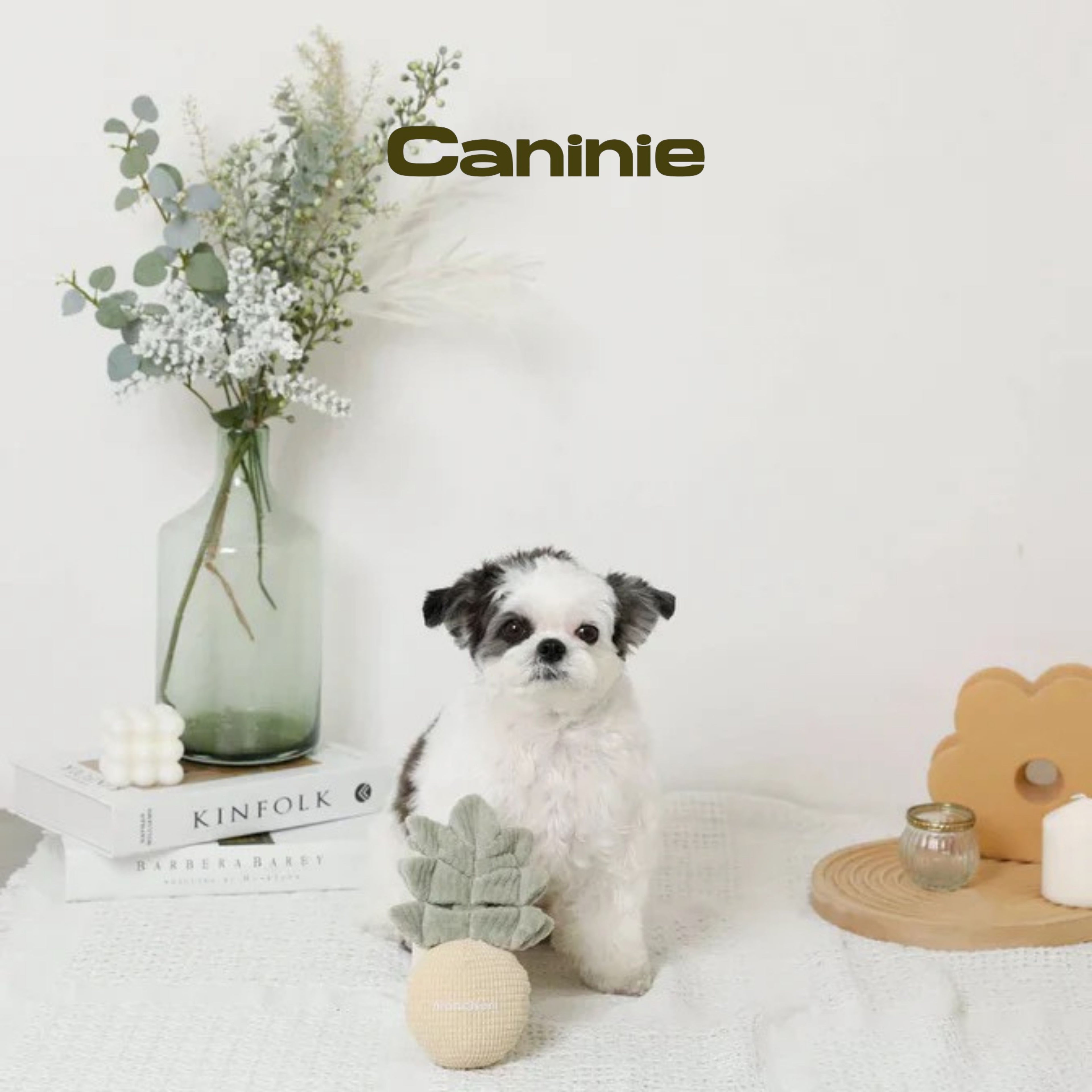 Caninie- Monchéri Pineapple Nose Work Toy ของเล่นสุนัขสับปะรดซ่อนขนม ของเล่นฝึกดมกลิ่นสุนัข
