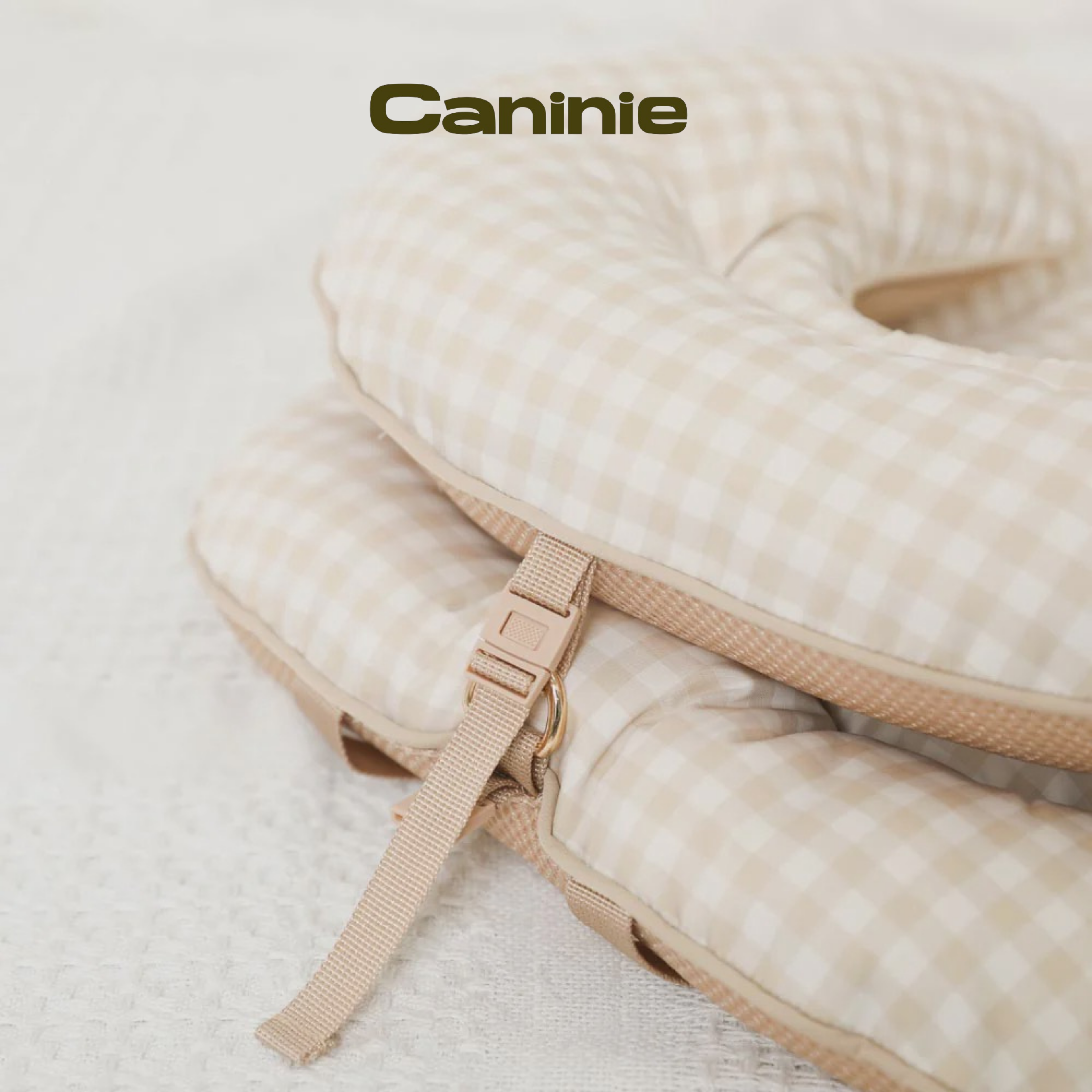 Caninie-Monchéri  หมอนเบาะนอนสัตว์เลี้ยงนุ่มพิเศษ (Pet Cushion Pillow)