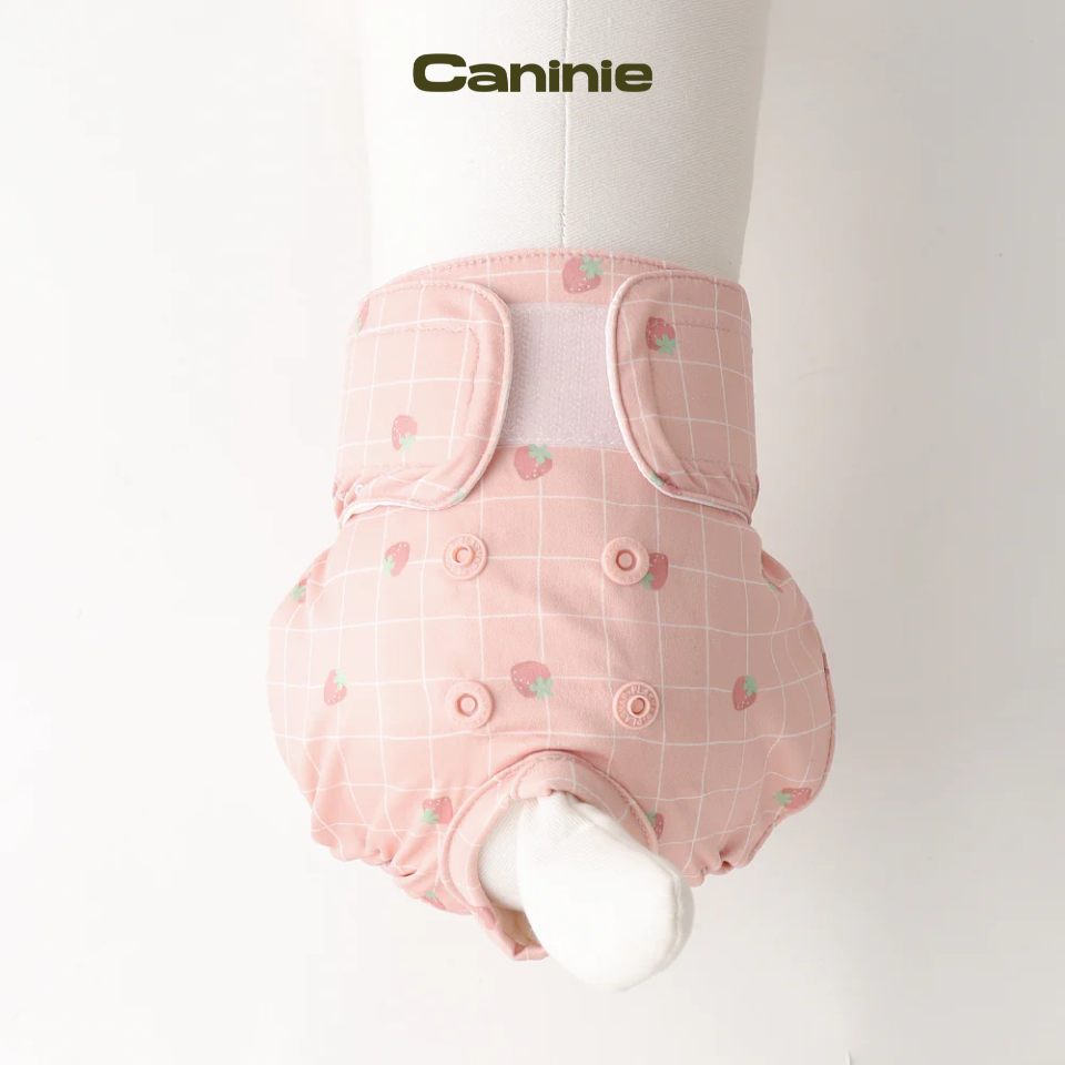 Strawberry check pattern sanitary pants - monchéri