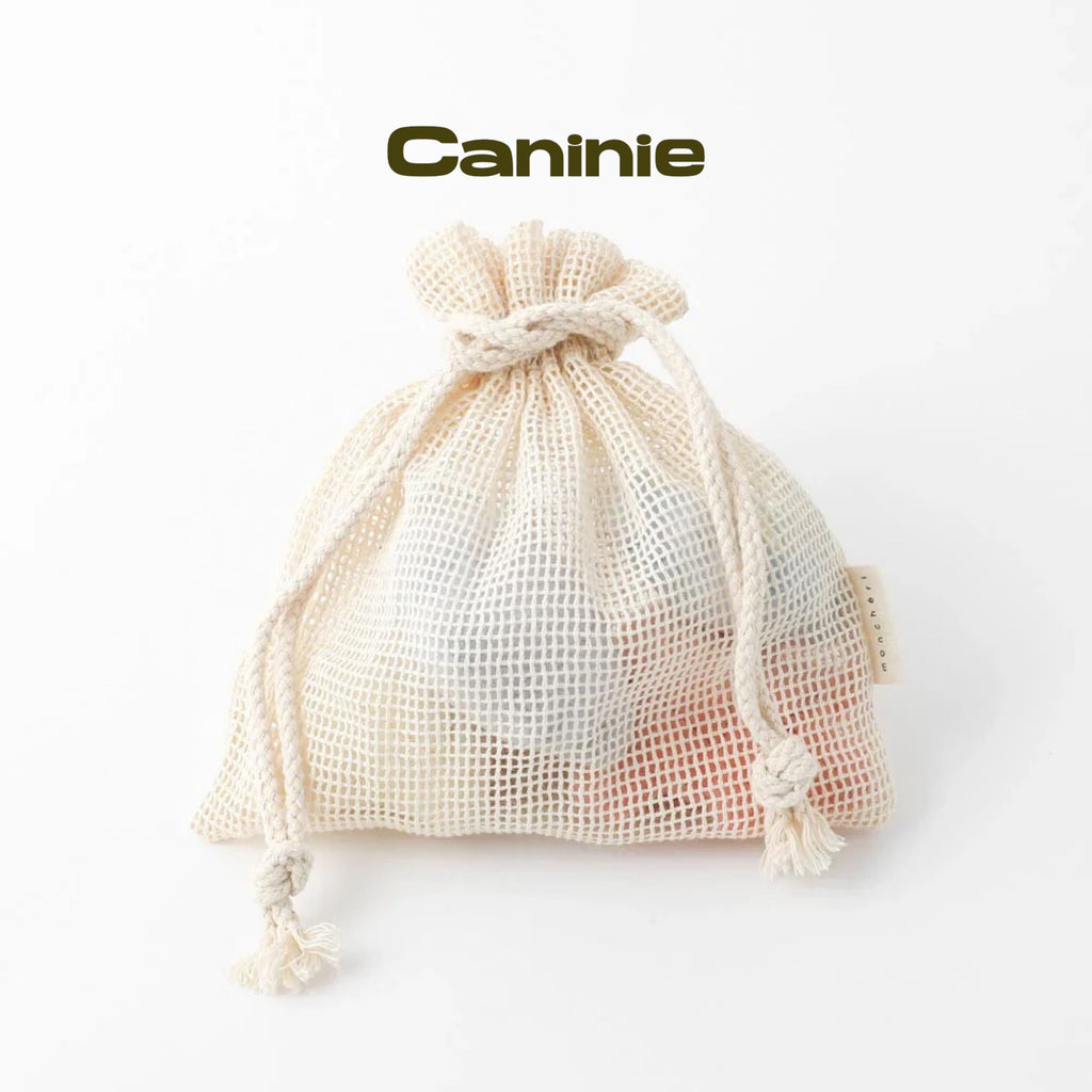 Caninie-Monchéri Friends of Shells Nose Work Toy Set ของเล่นสุนัขซ่อนขนม เซตหอยทะเล พร้อมถุงผ้ารูด ของเล่นฝึกดมกลิ่นสุนัข