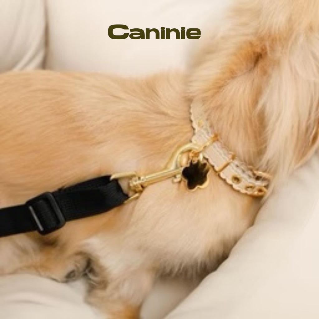 Caninie-Monchéri (Field Drive Pet Bed) เบาะนอนสัตว์เลี้ยงสำหรับเดินทาง เบาะนอนสุนัขแมว เบาะรถยนต์สัตว์เลี้ยง นุ่มพิเศษ ถอดซักได้