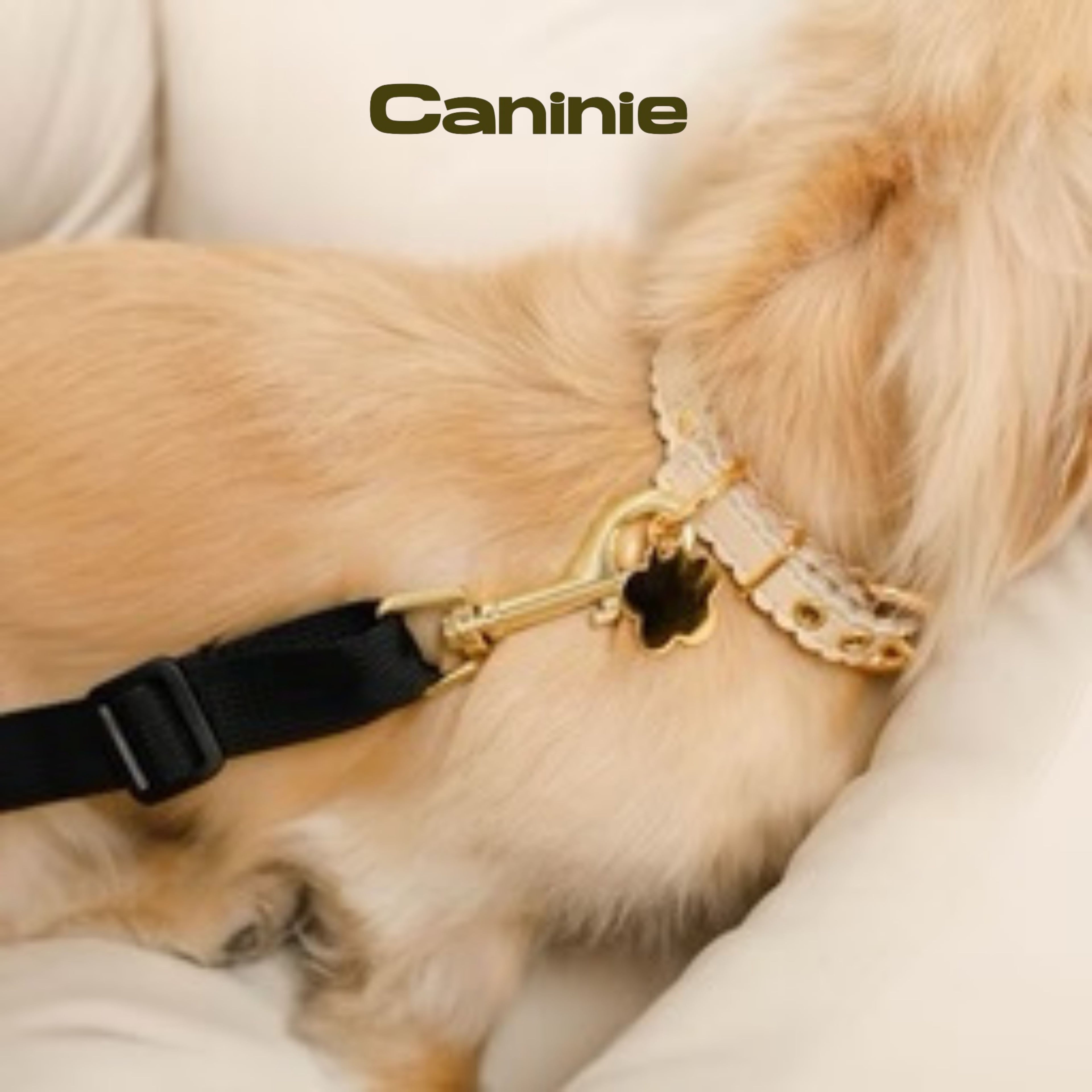 Caninie-Monchéri (Field Drive Pet Bed) เบาะนอนสัตว์เลี้ยงสำหรับเดินทาง เบาะนอนสุนัขแมว เบาะรถยนต์สัตว์เลี้ยง นุ่มพิเศษ ถอดซักได้