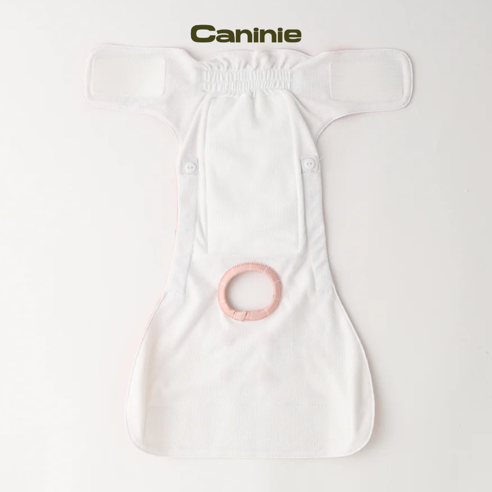 Strawberry check pattern sanitary pants - monchéri