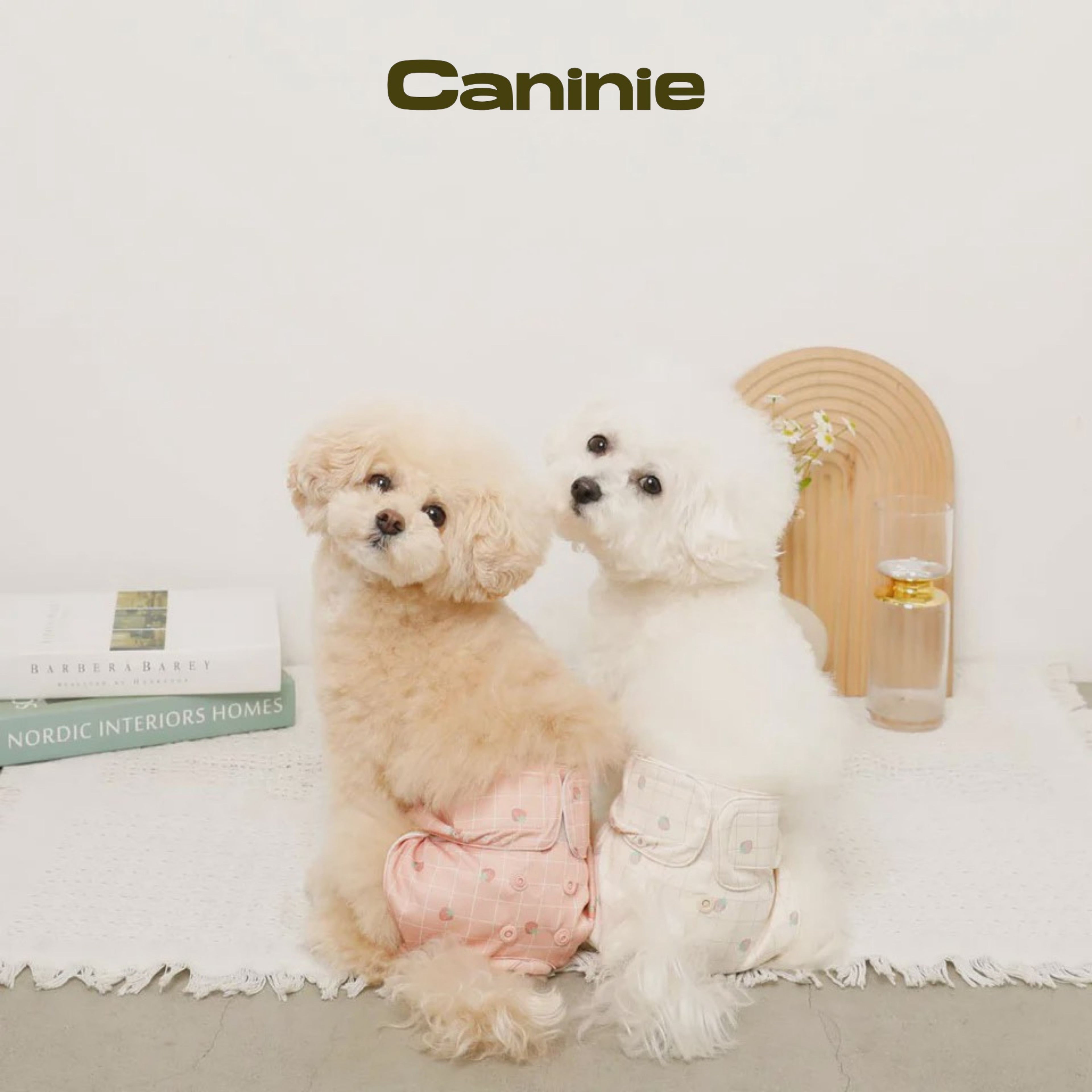 Caninie-monchéri กางเกงอนามัยสุนัข ลายสตรอว์เบอร์รี่ตาราง