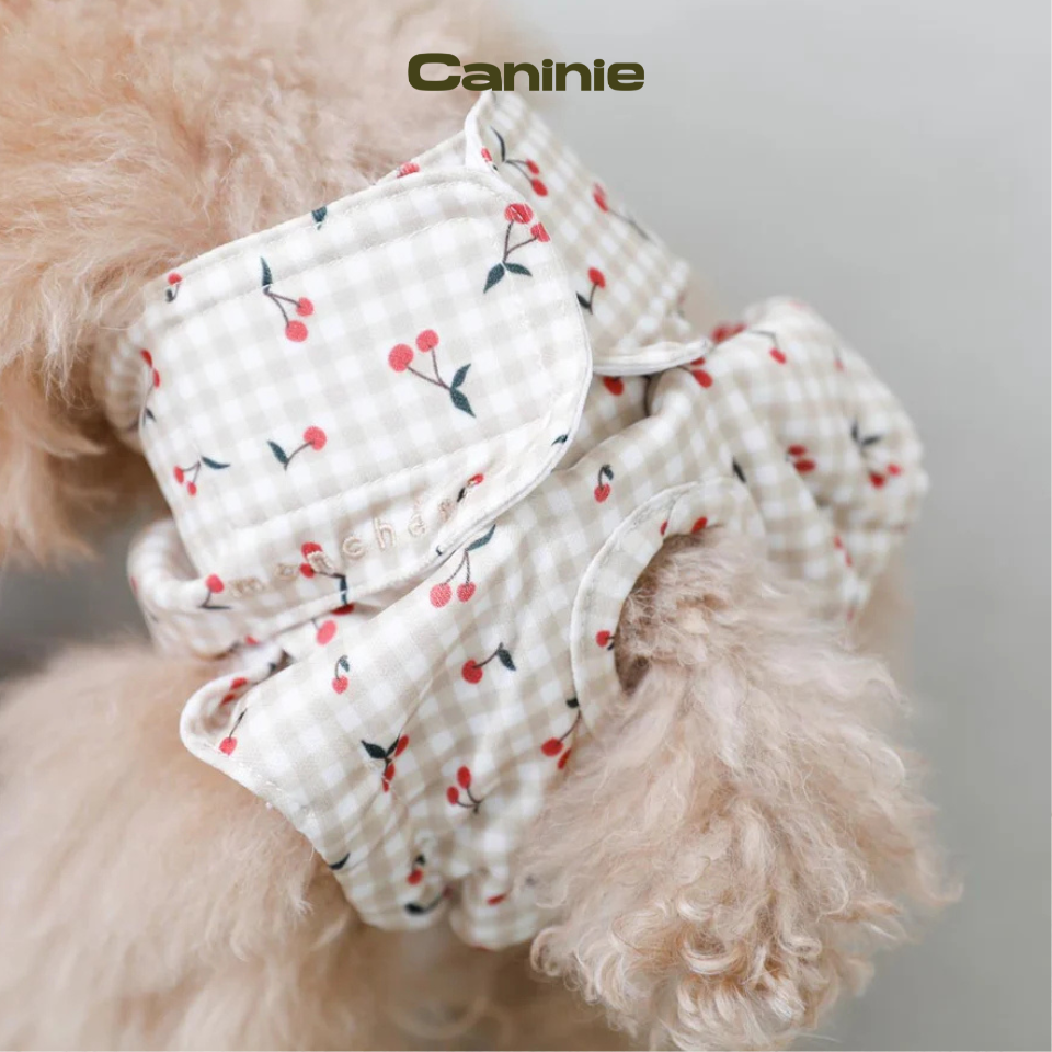 Gingham Check Cherry Print Dog Sanitary Pants - monchéri