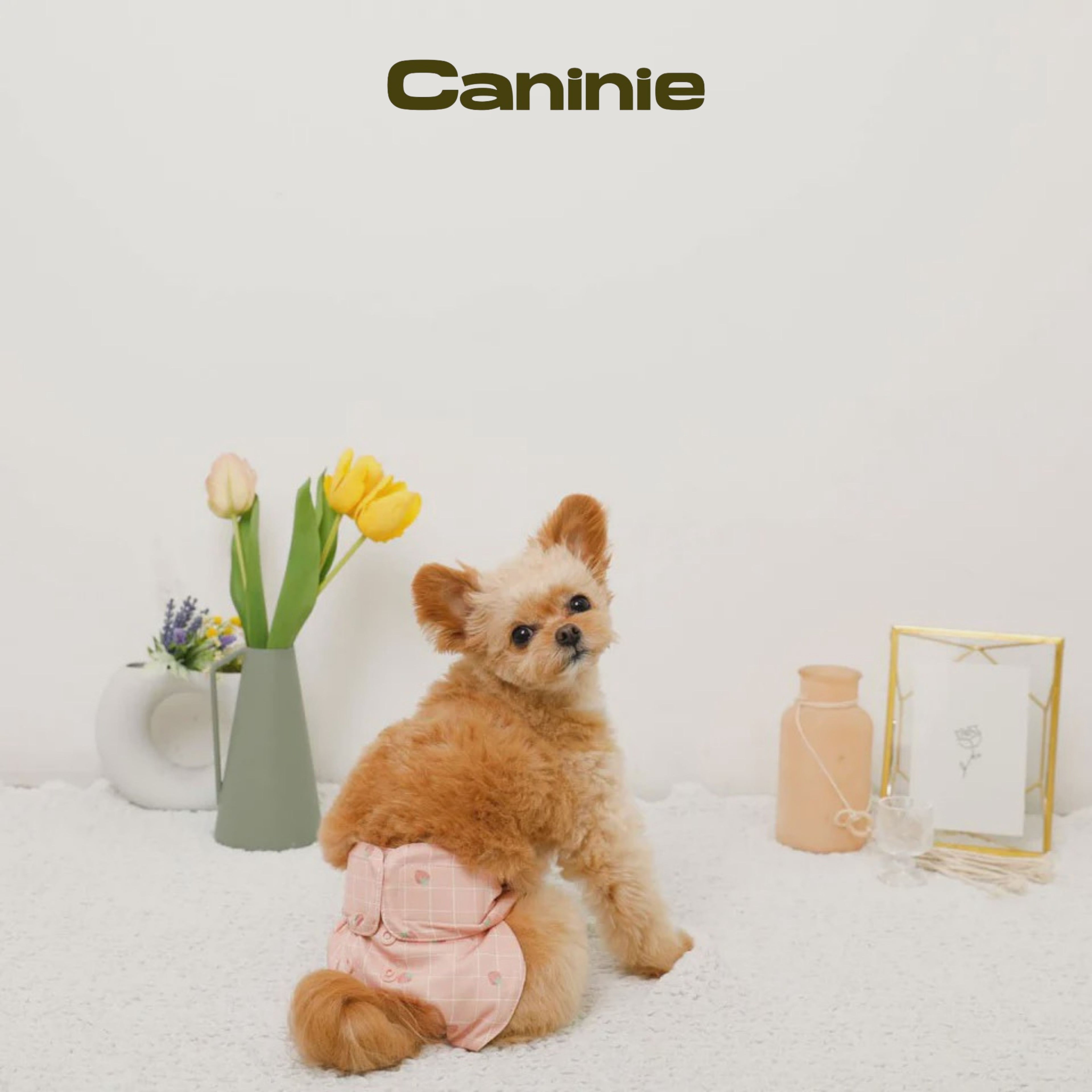 Caninie-monchéri กางเกงอนามัยสุนัข ลายสตรอว์เบอร์รี่ตาราง