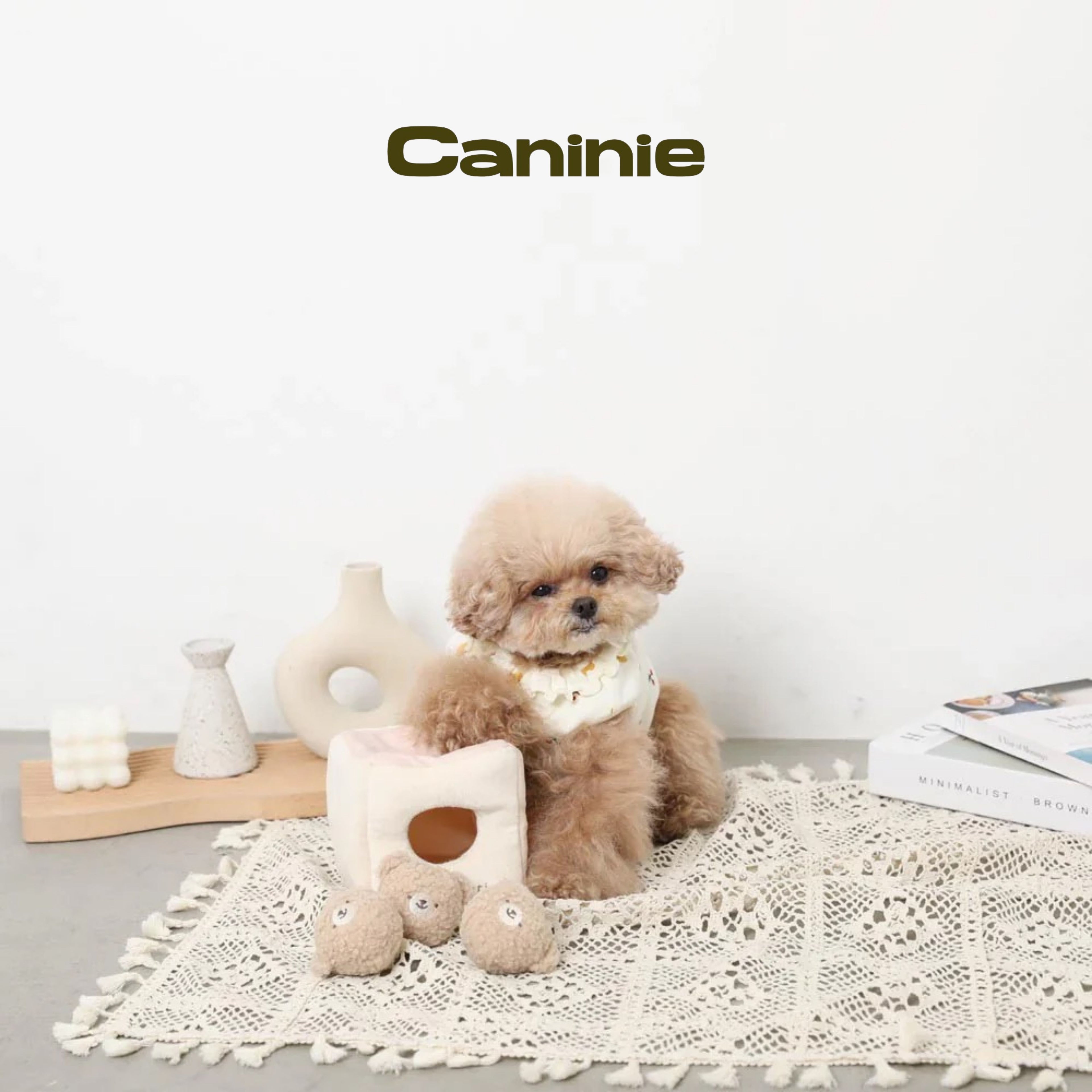 Caninie-Monchéri Kuma-san Bore Ball ของเล่นสุนัขลูกบอลหมี ของเล่นสุนัขผ้านุ่ม