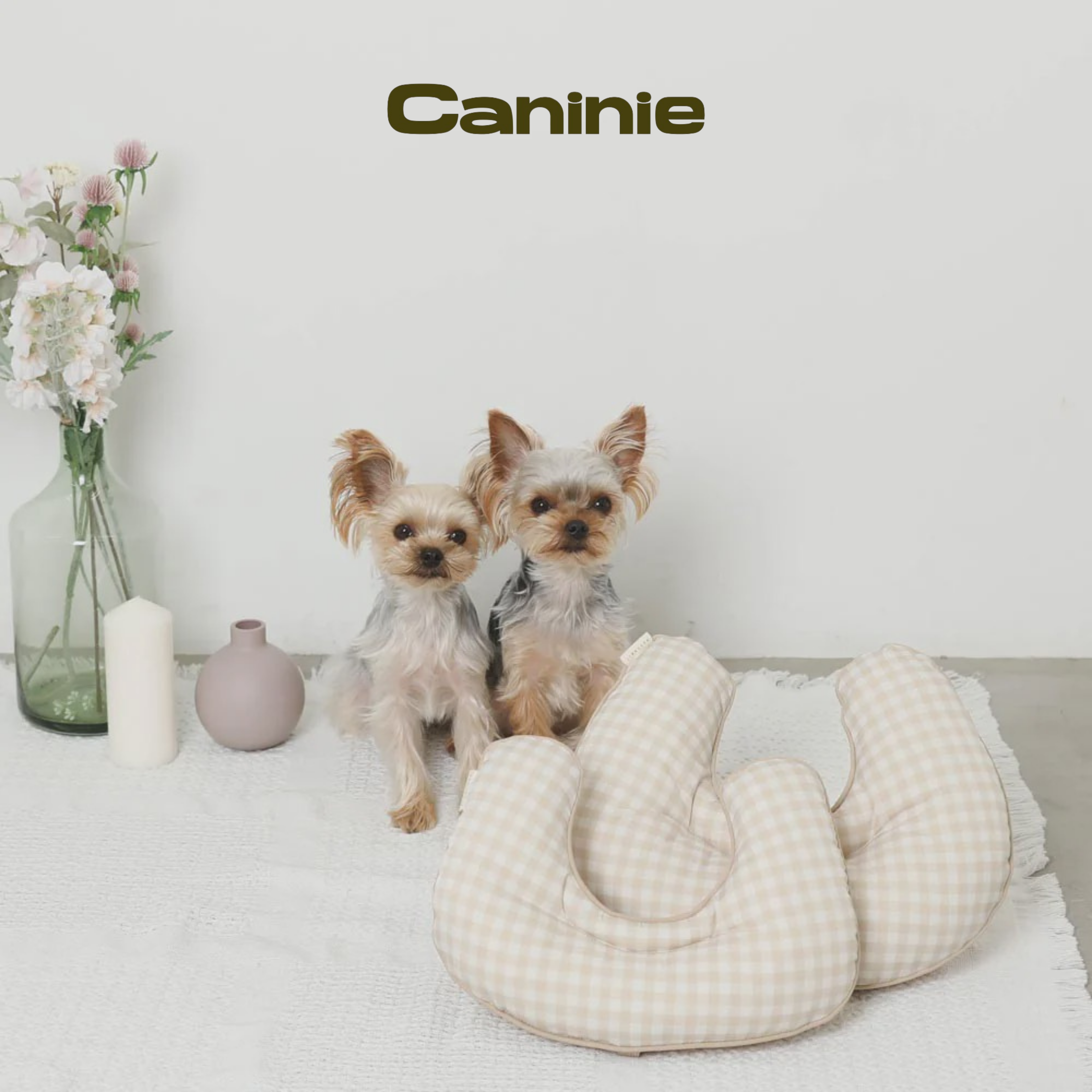 Caninie-Monchéri  หมอนเบาะนอนสัตว์เลี้ยงนุ่มพิเศษ (Pet Cushion Pillow)