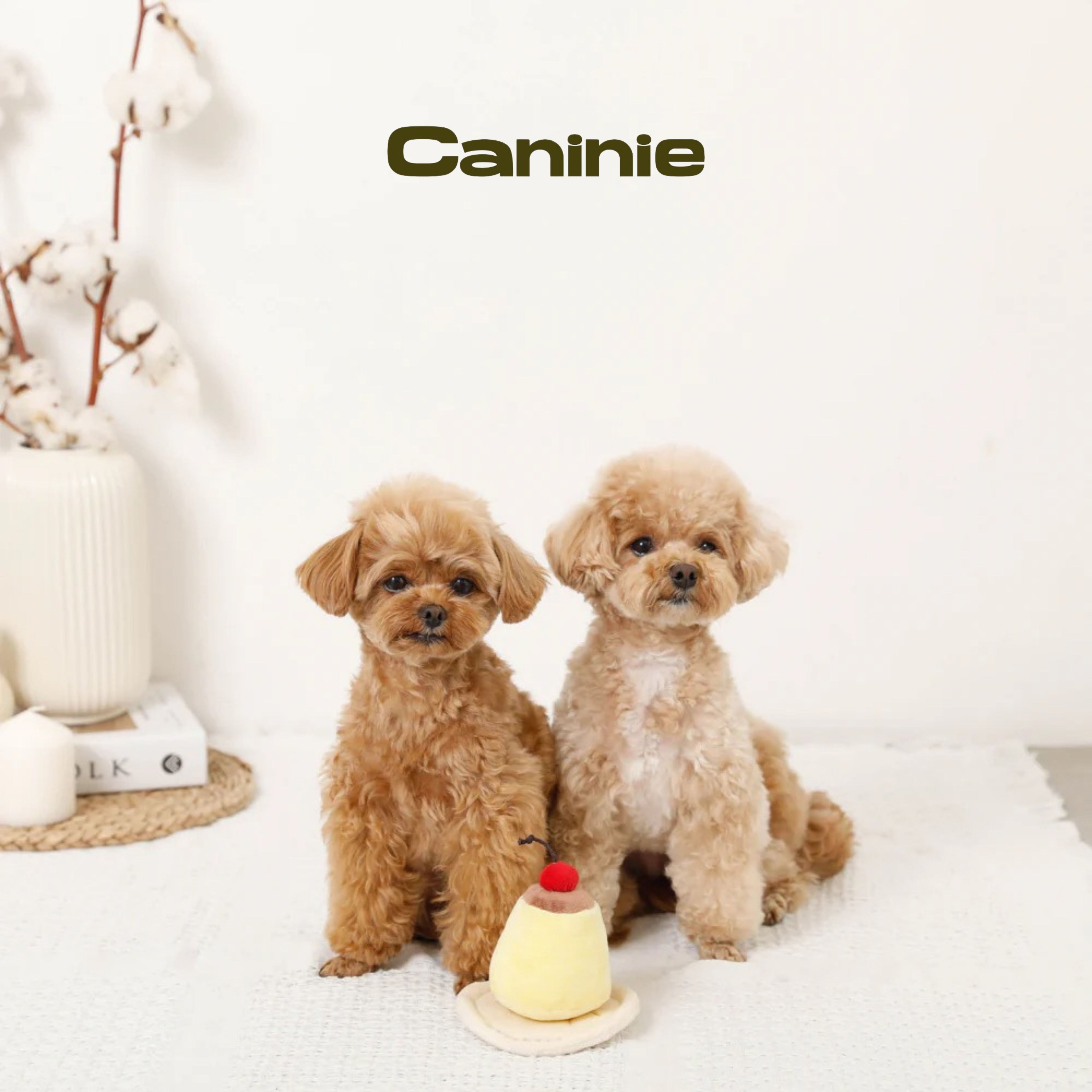 Caninie-Monchéri Nose Work Pudding Toy ของเล่นสุนัขพุดดิ้งซ่อนขนม ของเล่นฝึกดมกลิ่นสุนัข