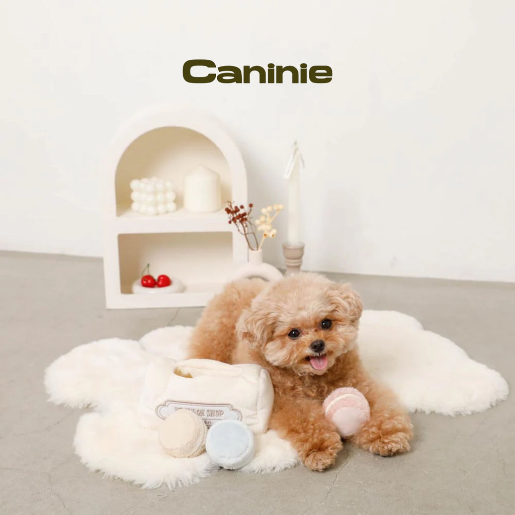 Caninie-Monchéri Macaroon Dog Toy ของเล่นสุนัขมาการอง ของเล่นสุนัขผ้านุ่ม เสริมพัฒนาการสัตว์เลี้ยง