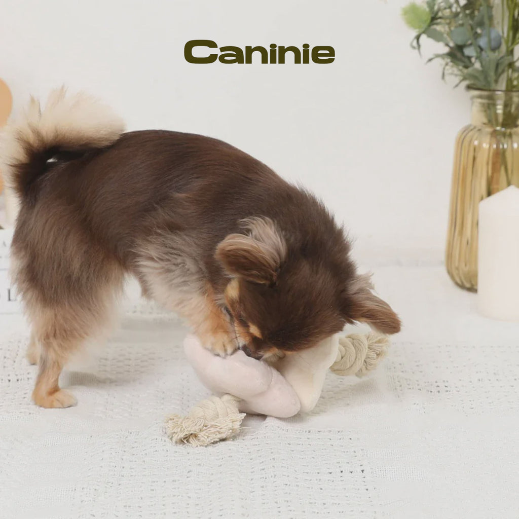 Caninie-Monchéri Flower Nose Work Rope Toy ของเล่นสุนัขดอกไม้ซ่อนขนม เชือกของเล่นสุนัข ฝึกดมกลิ่น
