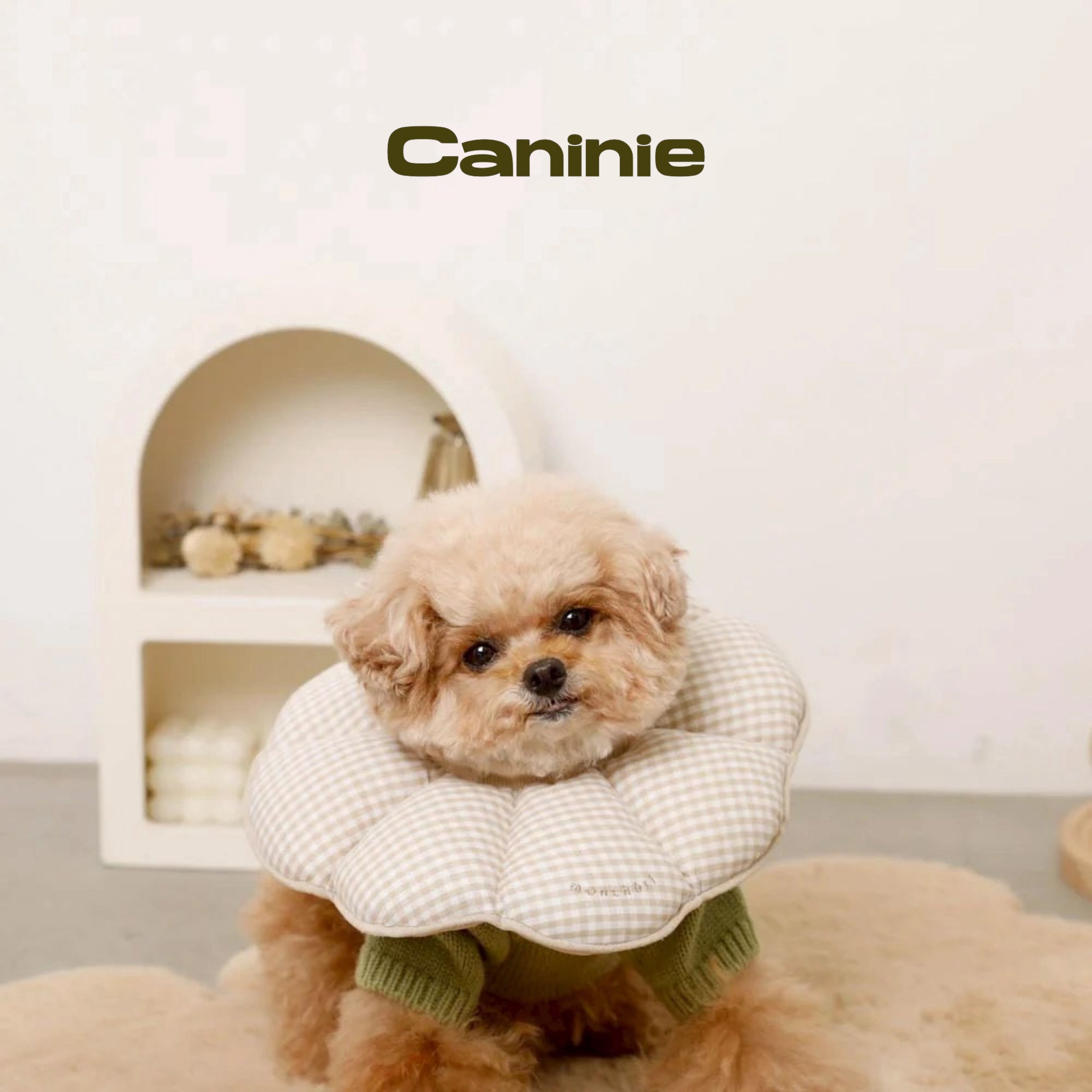 Canine-Monchéri Gingham Check Flower Elizabeth Collar