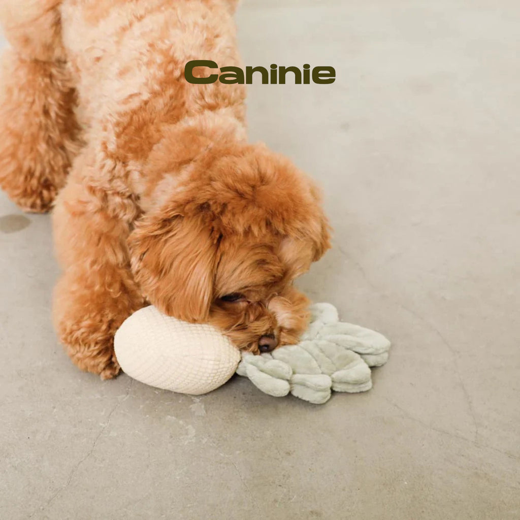 Caninie- Monchéri Pineapple Nose Work Toy ของเล่นสุนัขสับปะรดซ่อนขนม ของเล่นฝึกดมกลิ่นสุนัข
