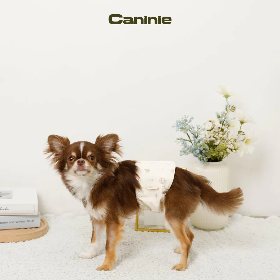 Merry-go-round pattern etiquette belt - monchéri