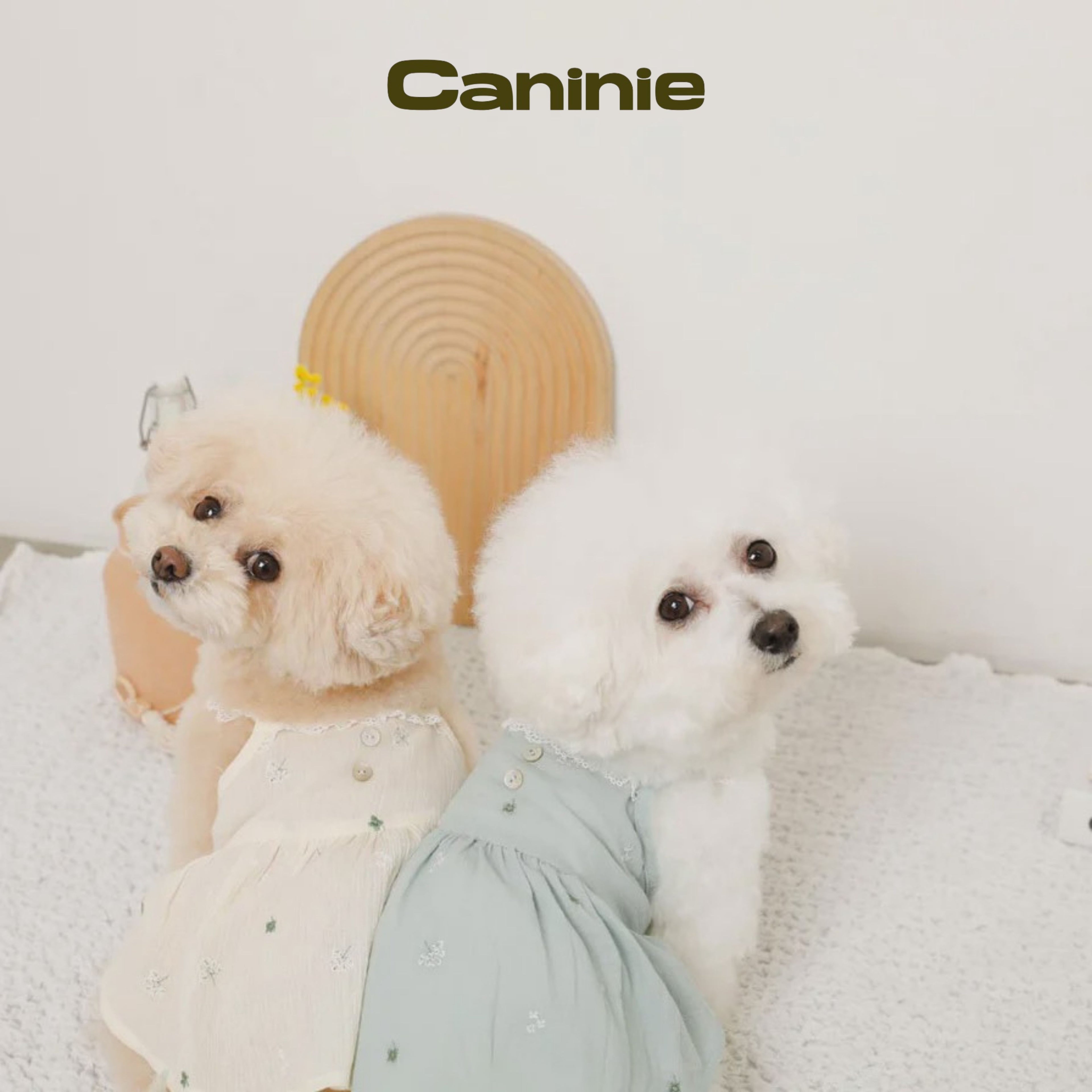 Caninie-monchéri เดรสสุนัขสายเดี่ยวลูกไม้ ลายปักดอกไม้