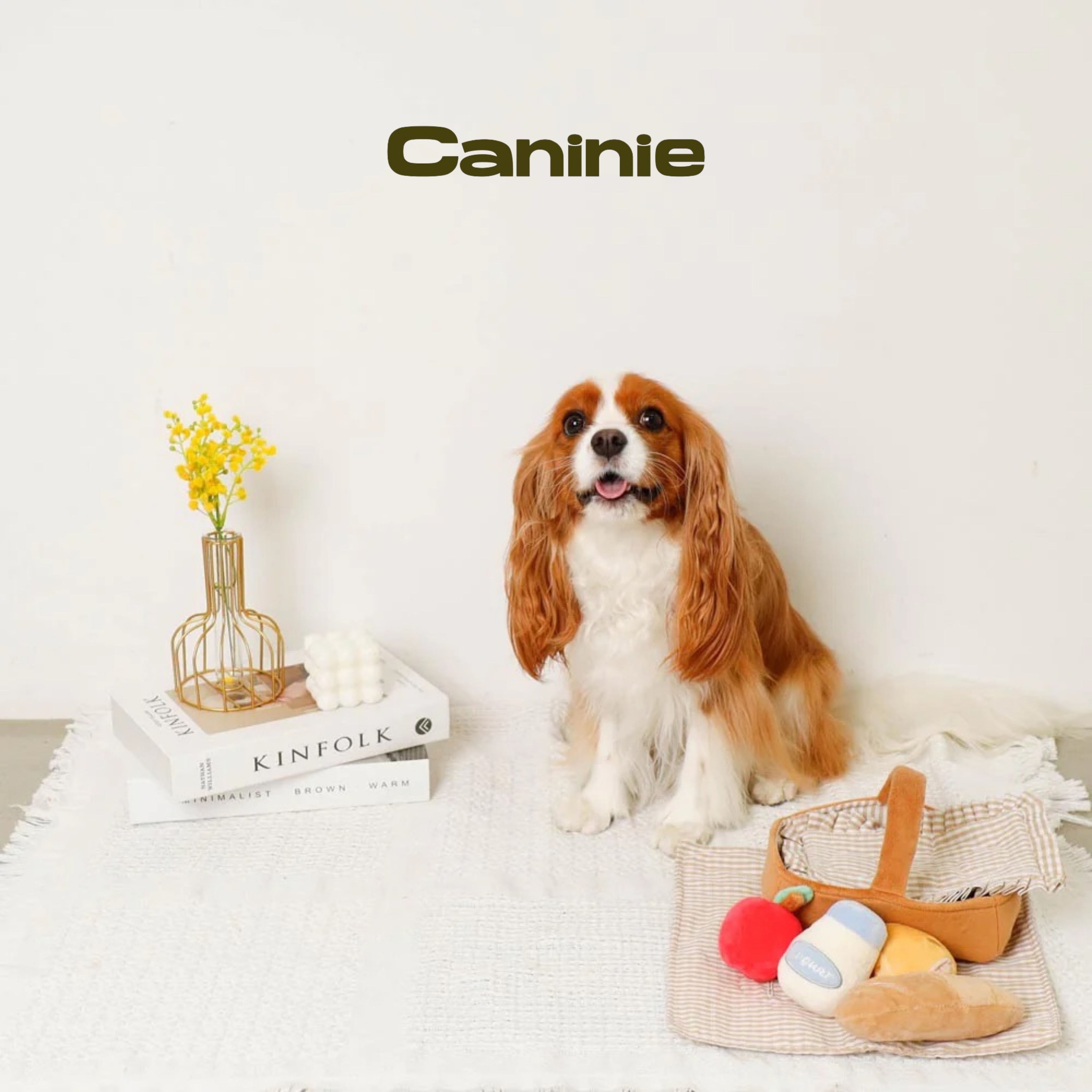 Caninie-Monchéri ชุดของเล่นปิกนิกเด็ก Picnic Set Toys ชุดปิกนิกจำลอง ของเล่นเสริมพัฒนาการ พร้อมตะกร้าและอุปกรณ์อาหาร