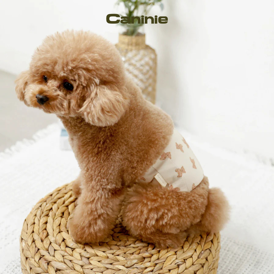 Kuma -san manner belt- monchéri