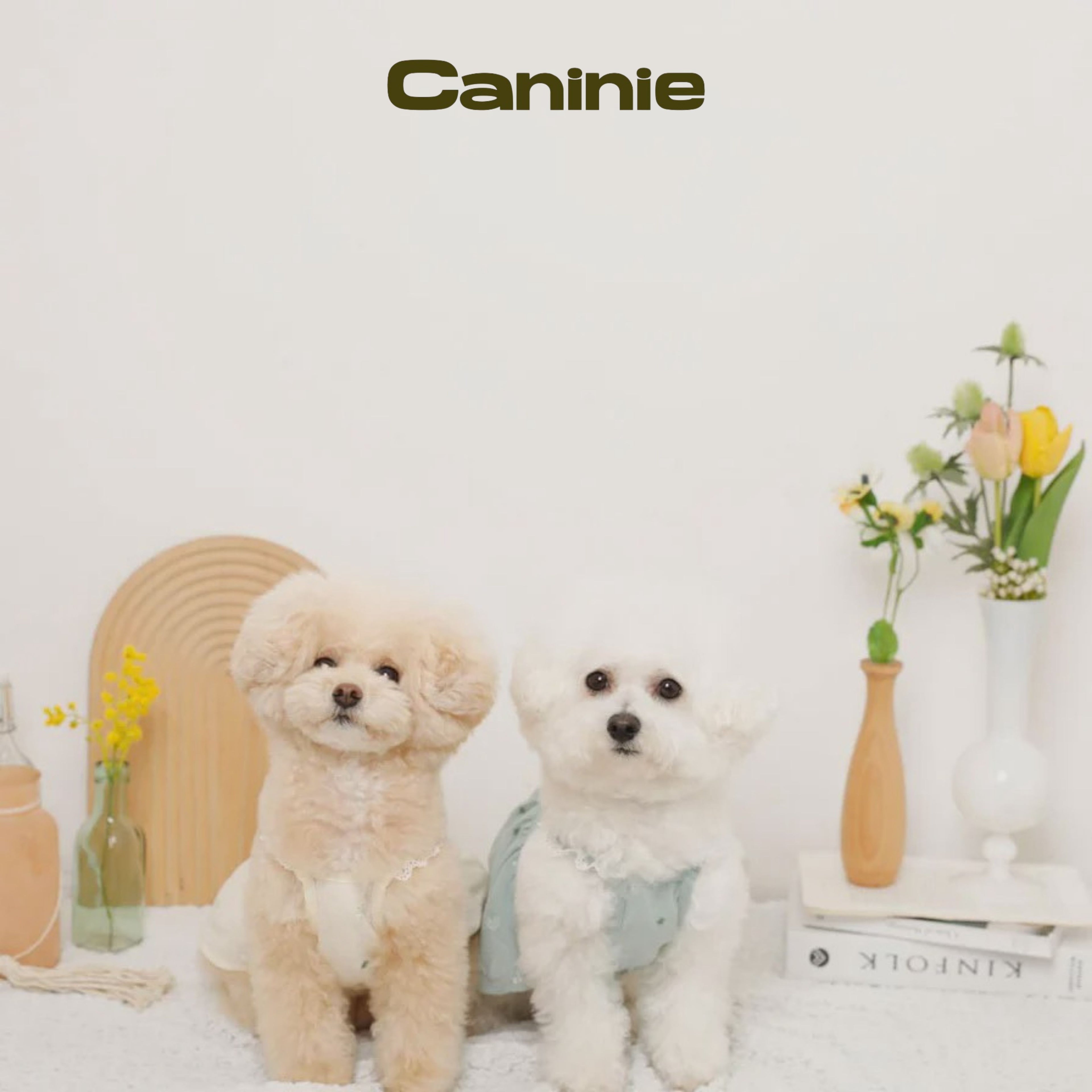 Caninie-monchéri เดรสสุนัขสายเดี่ยวลูกไม้ ลายปักดอกไม้