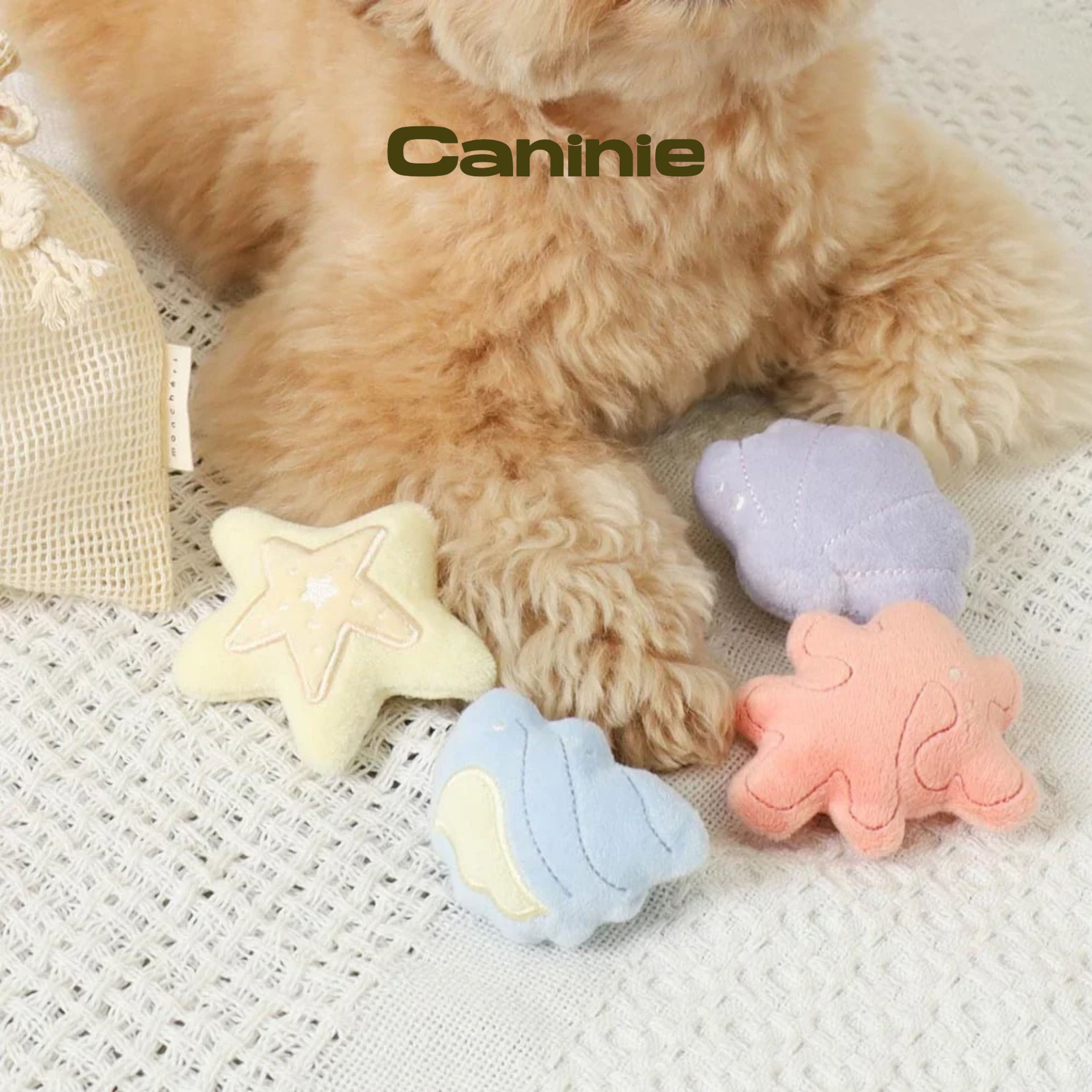 Caninie-Monchéri Friends of Shells Nose Work Toy Set ของเล่นสุนัขซ่อนขนม เซตหอยทะเล พร้อมถุงผ้ารูด ของเล่นฝึกดมกลิ่นสุนัข