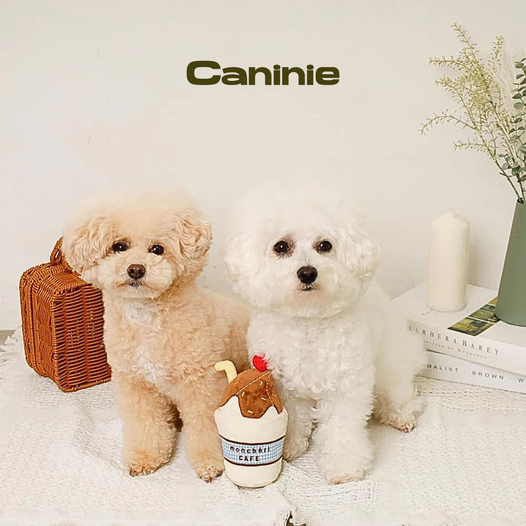 Caninie-Monchéri Chocolate Whipped Drink Toy  (ของเล่นสุนัขรูปแก้วช็อกโกแลตวิปครีม)