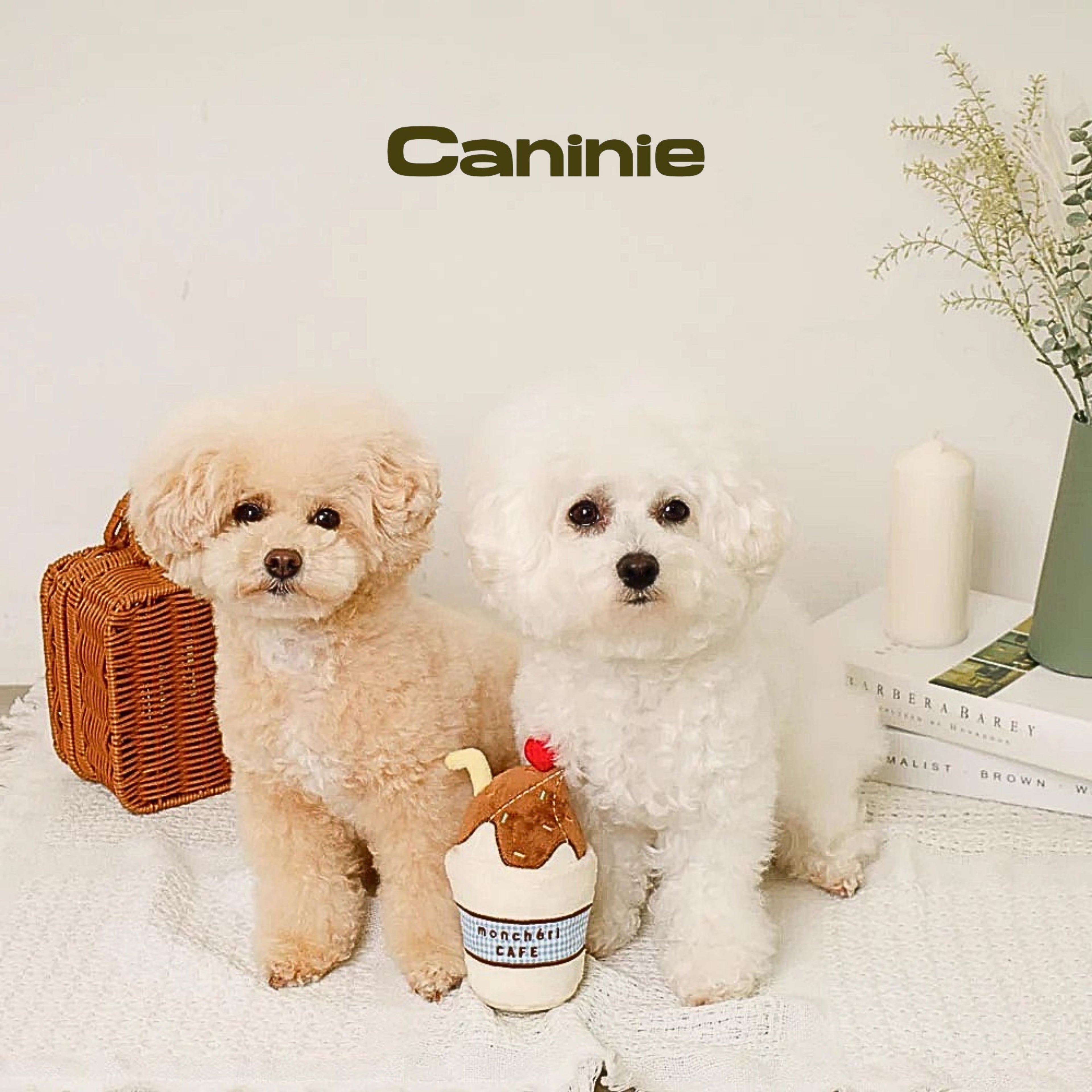Caninie-Monchéri Chocolate Whipped Drink Toy  (ของเล่นสุนัขรูปแก้วช็อกโกแลตวิปครีม)
