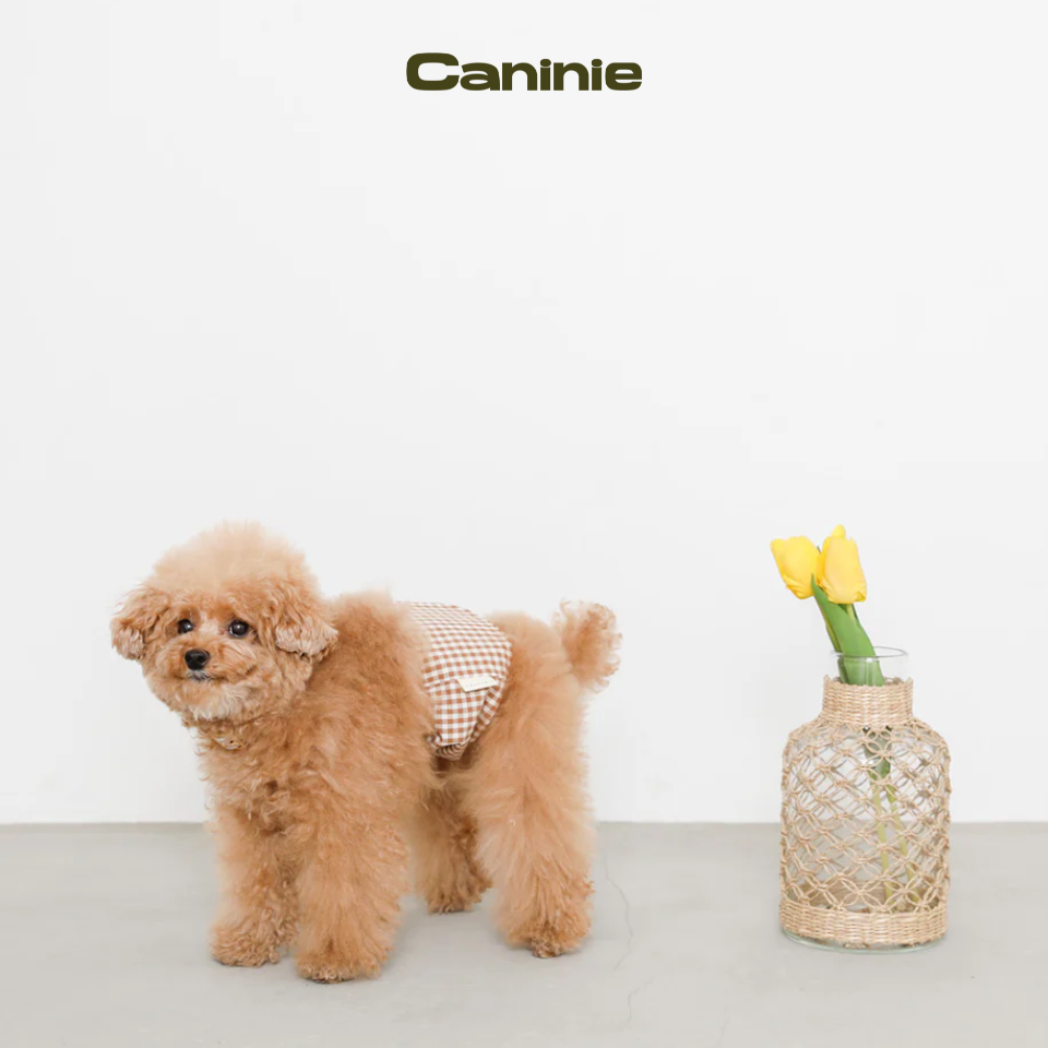 gingham check manners belt - Monchéri